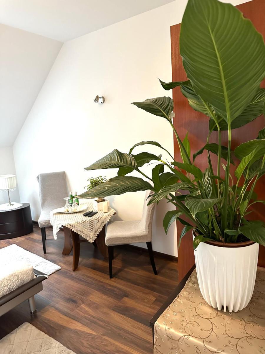 Dolce Vita en Ustroń — living room
