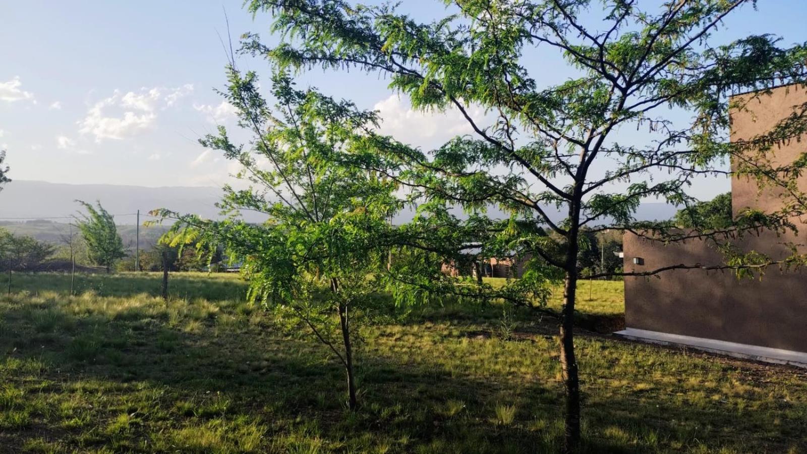 La Querencia de Yacanto