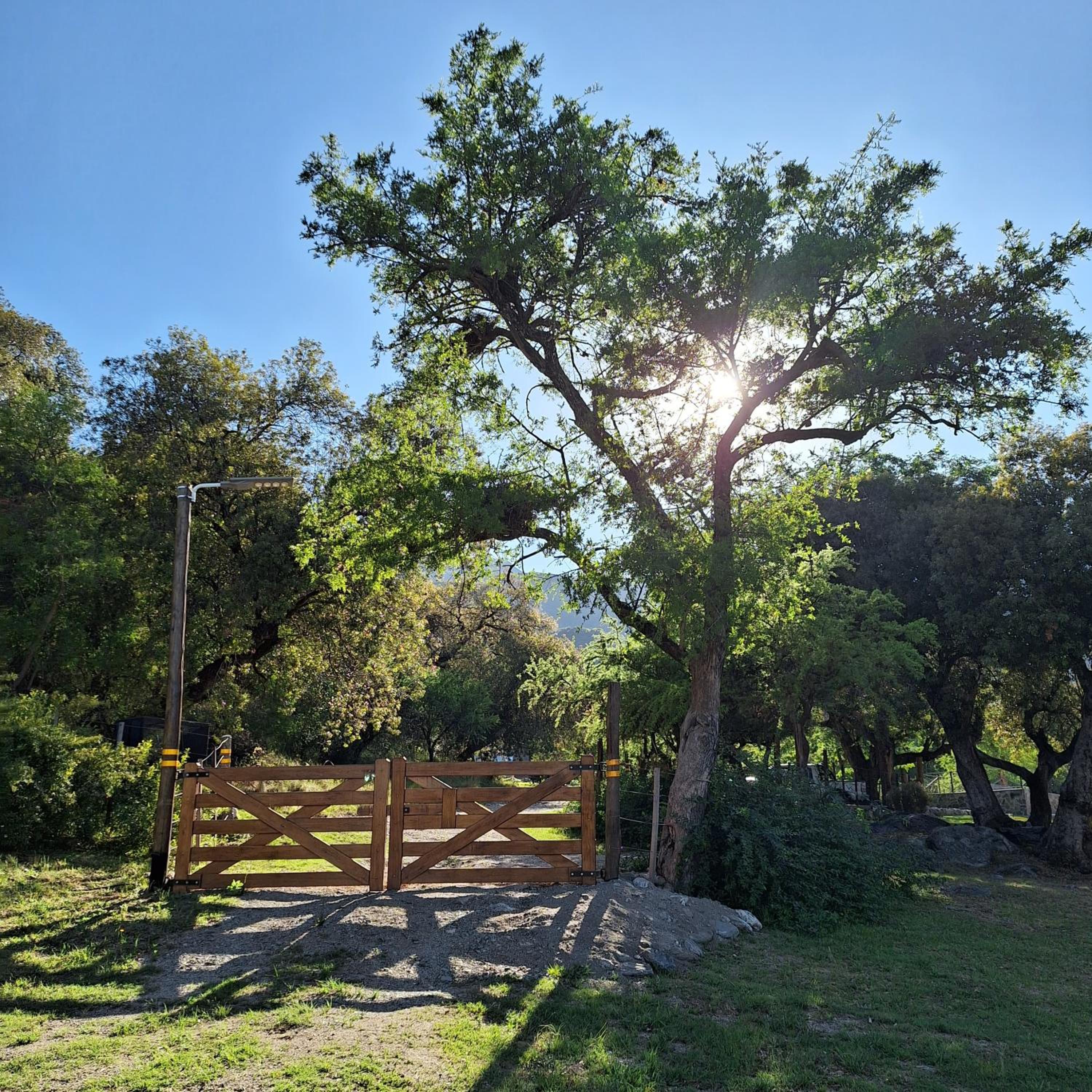 COSTA COM Departamentos de Montaña