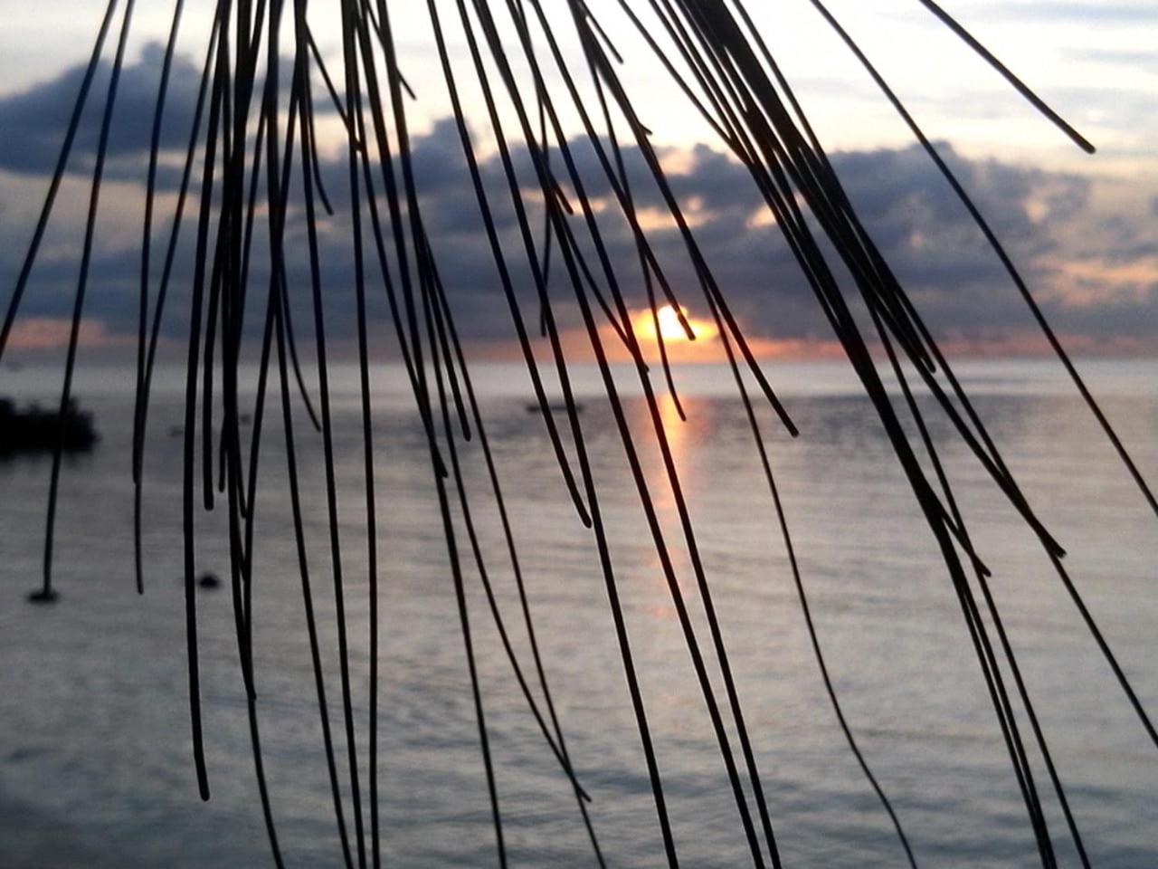 Le Petit Paradis view 3