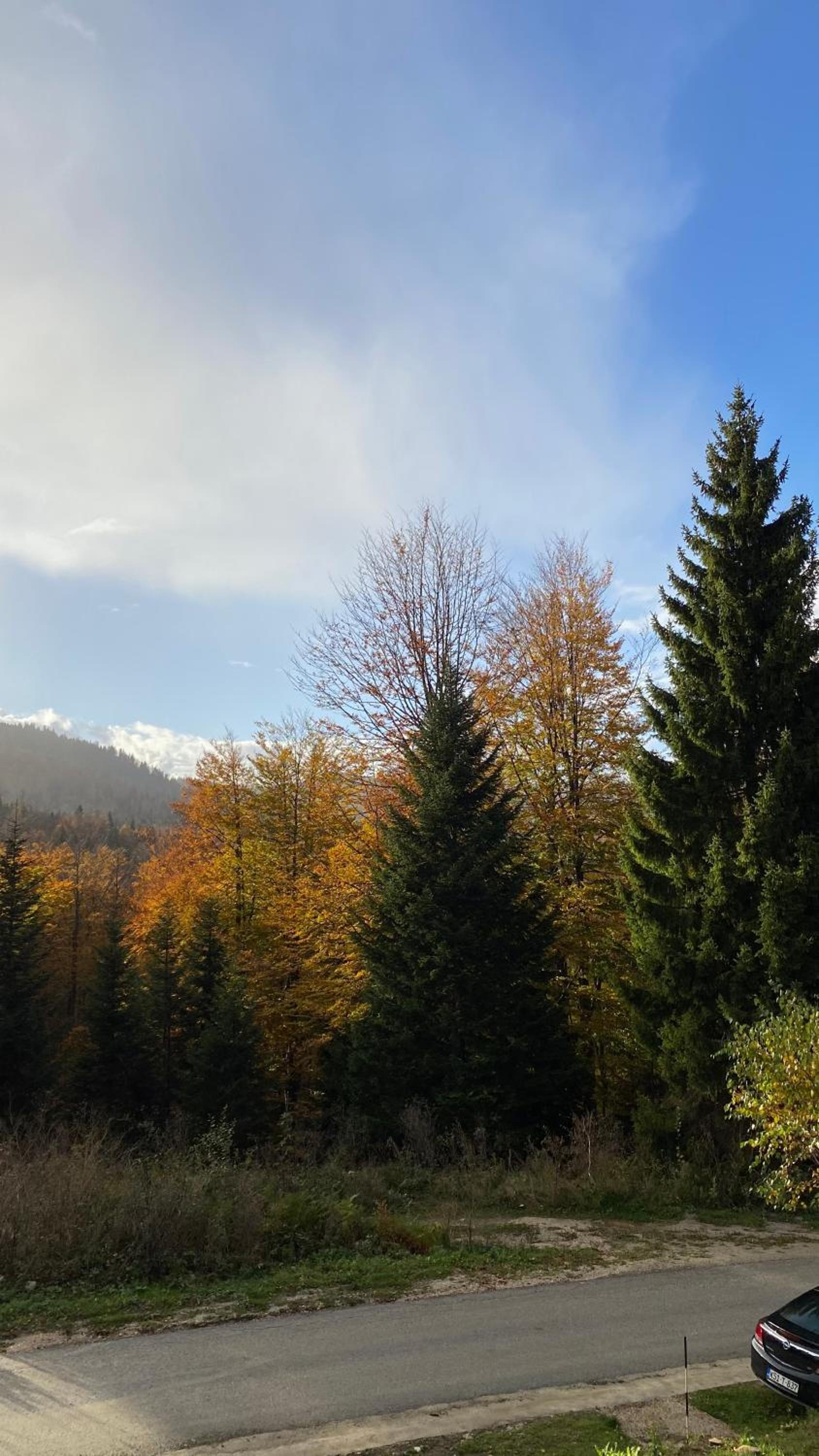 Alpi Cabin Pridolci