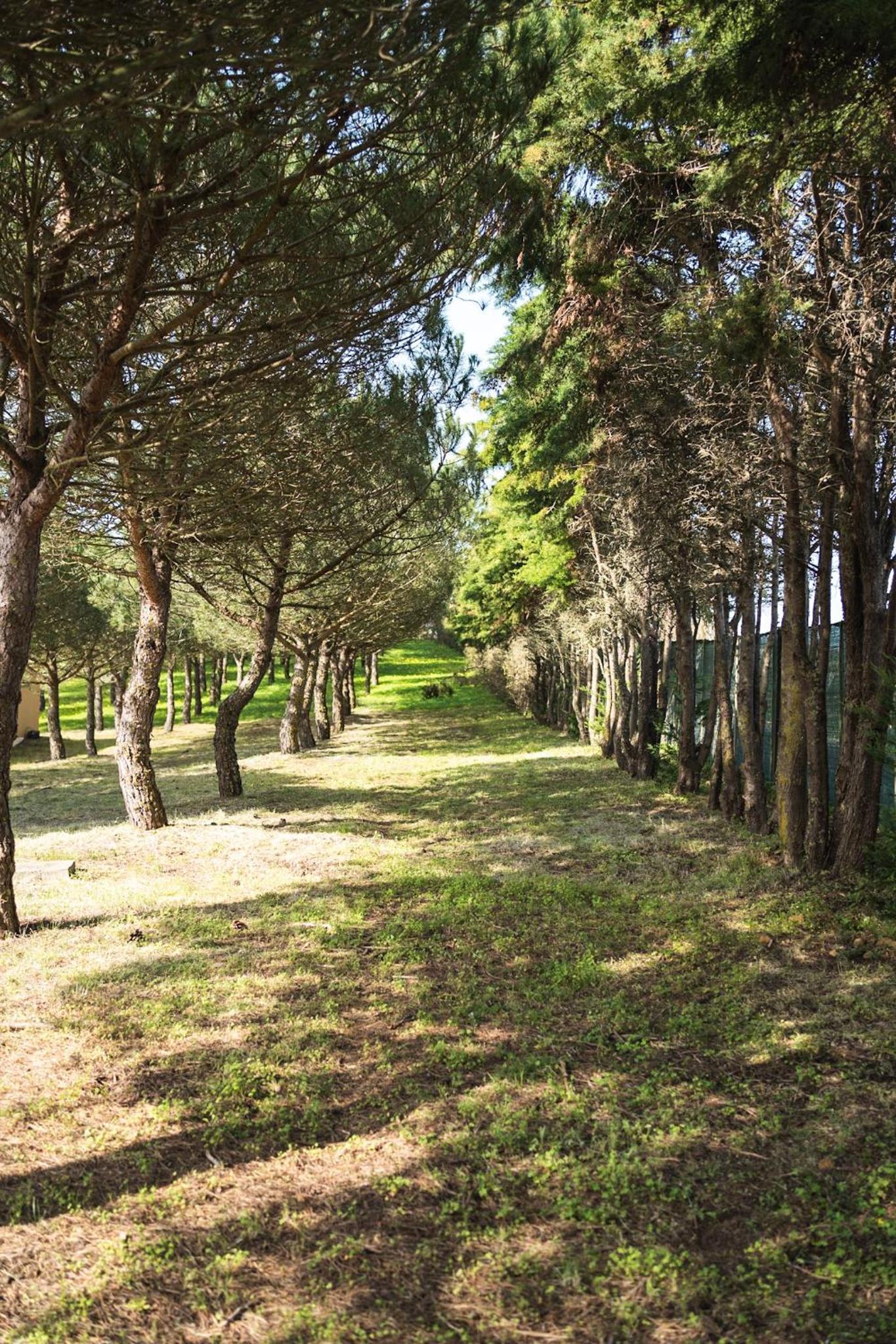 Quinta Raposeiros - Ocean View CountryHouse Ericeira
