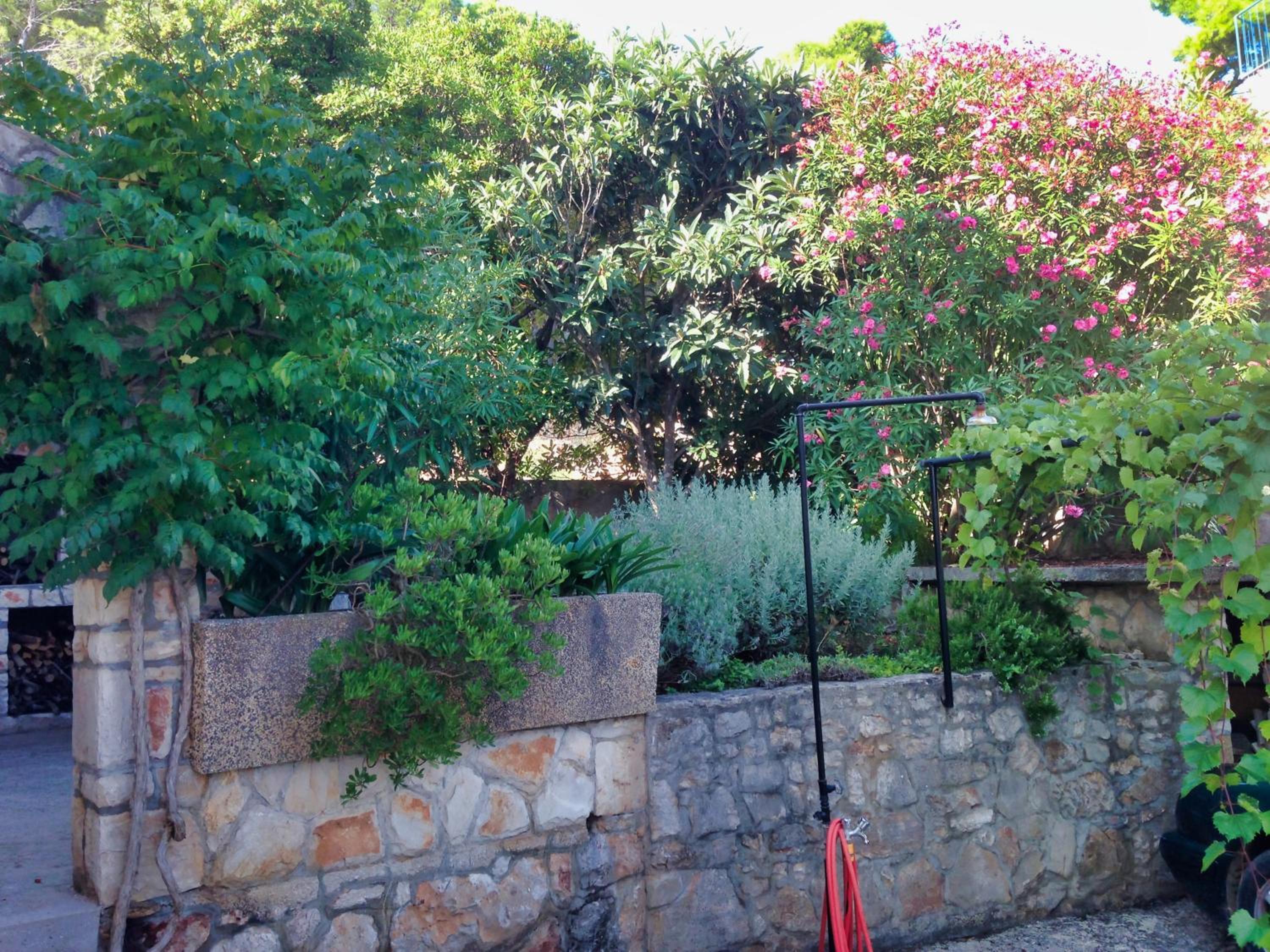 Photo 38