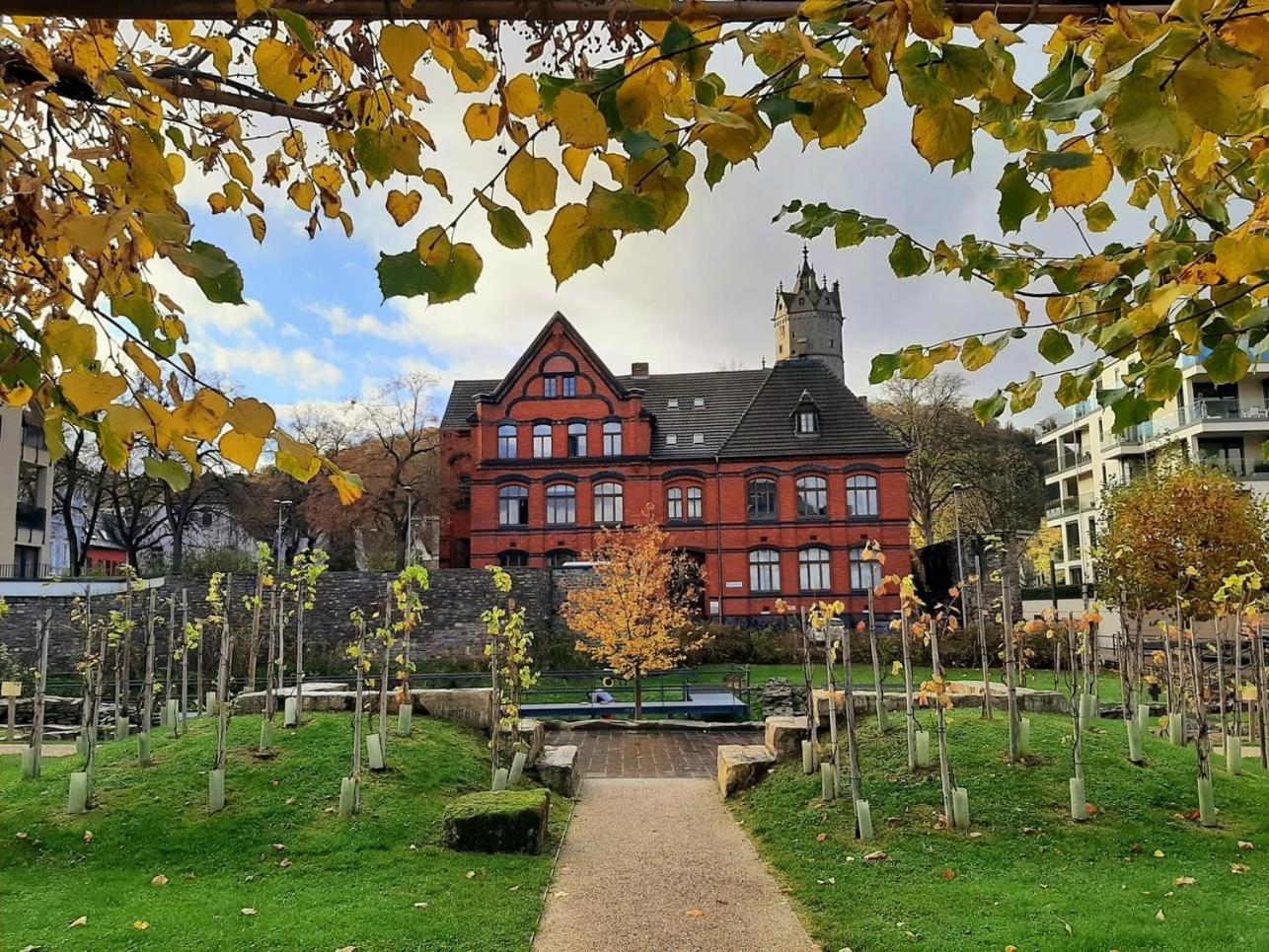 back to school (rote Schule) view 2