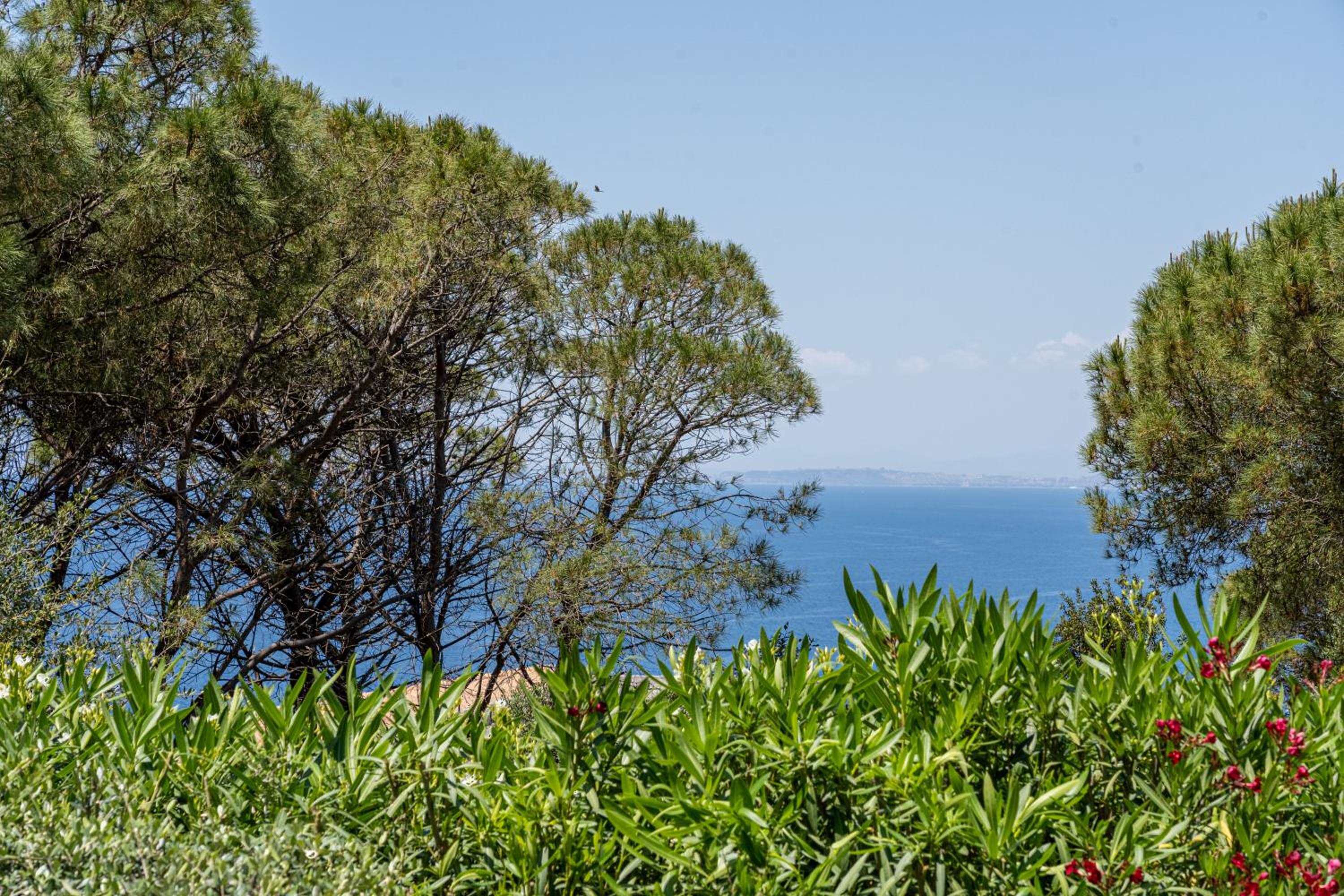 Villa Viola view 3