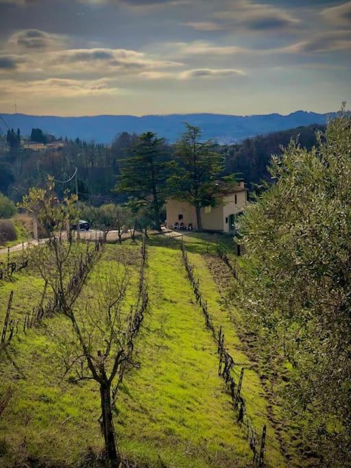 Casa Loumavi en Soianella — other