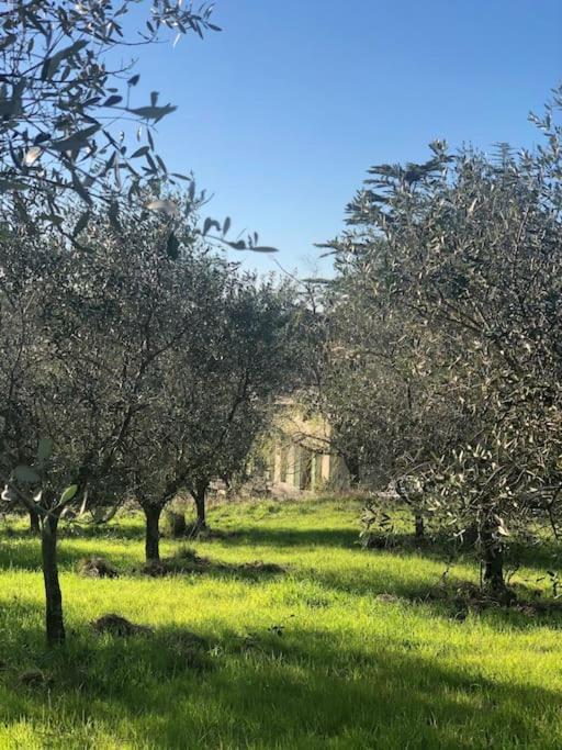 Casa Loumavi en Soianella — other