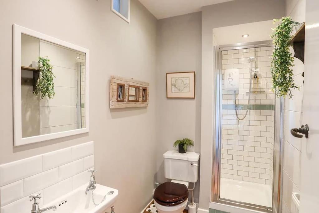 Druidsmoor - Sea Views-sleeps 8-Ravenspoint road view 2