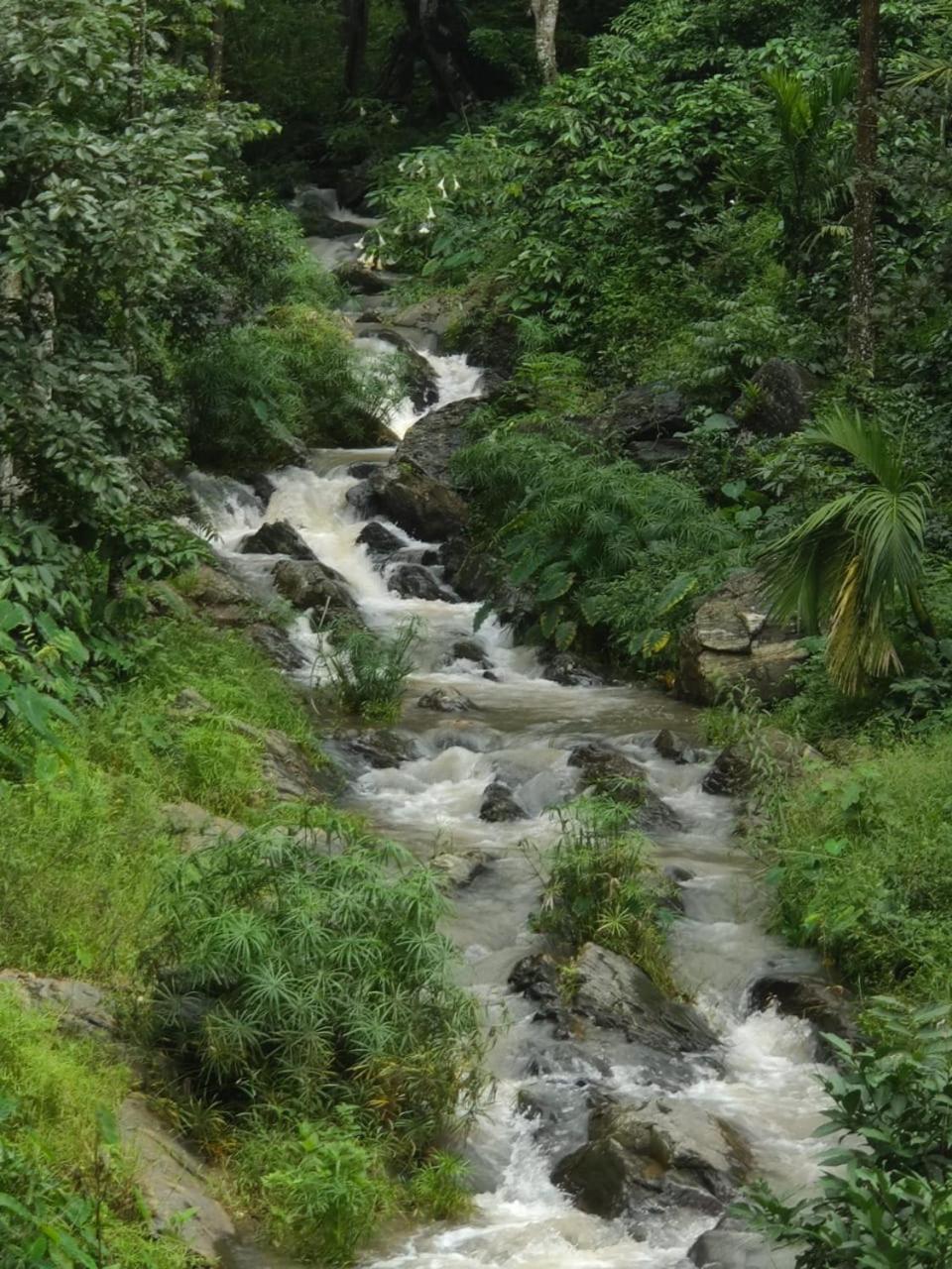 Pepper Vines Homestay