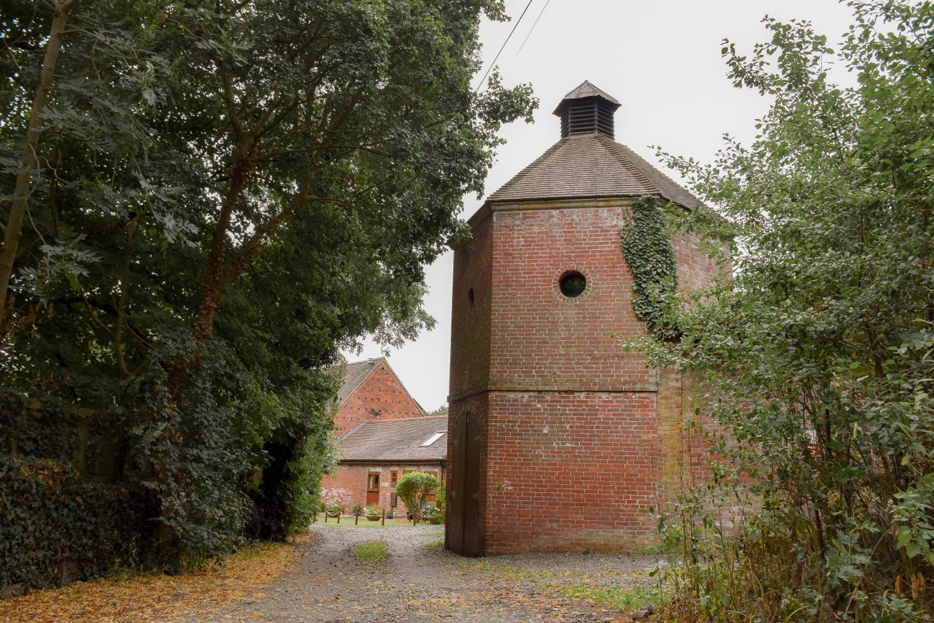 Photo 42