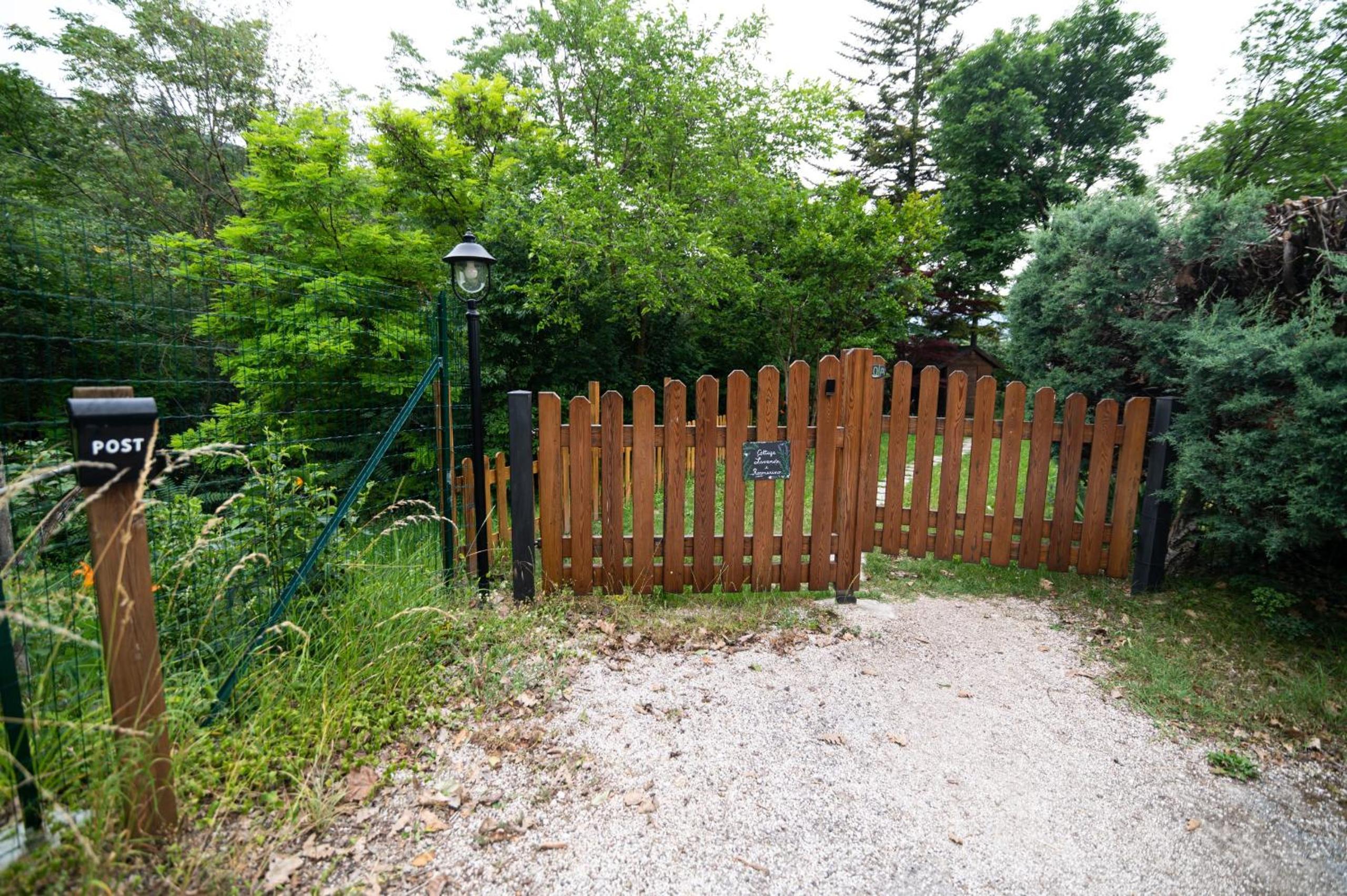 Photo 23