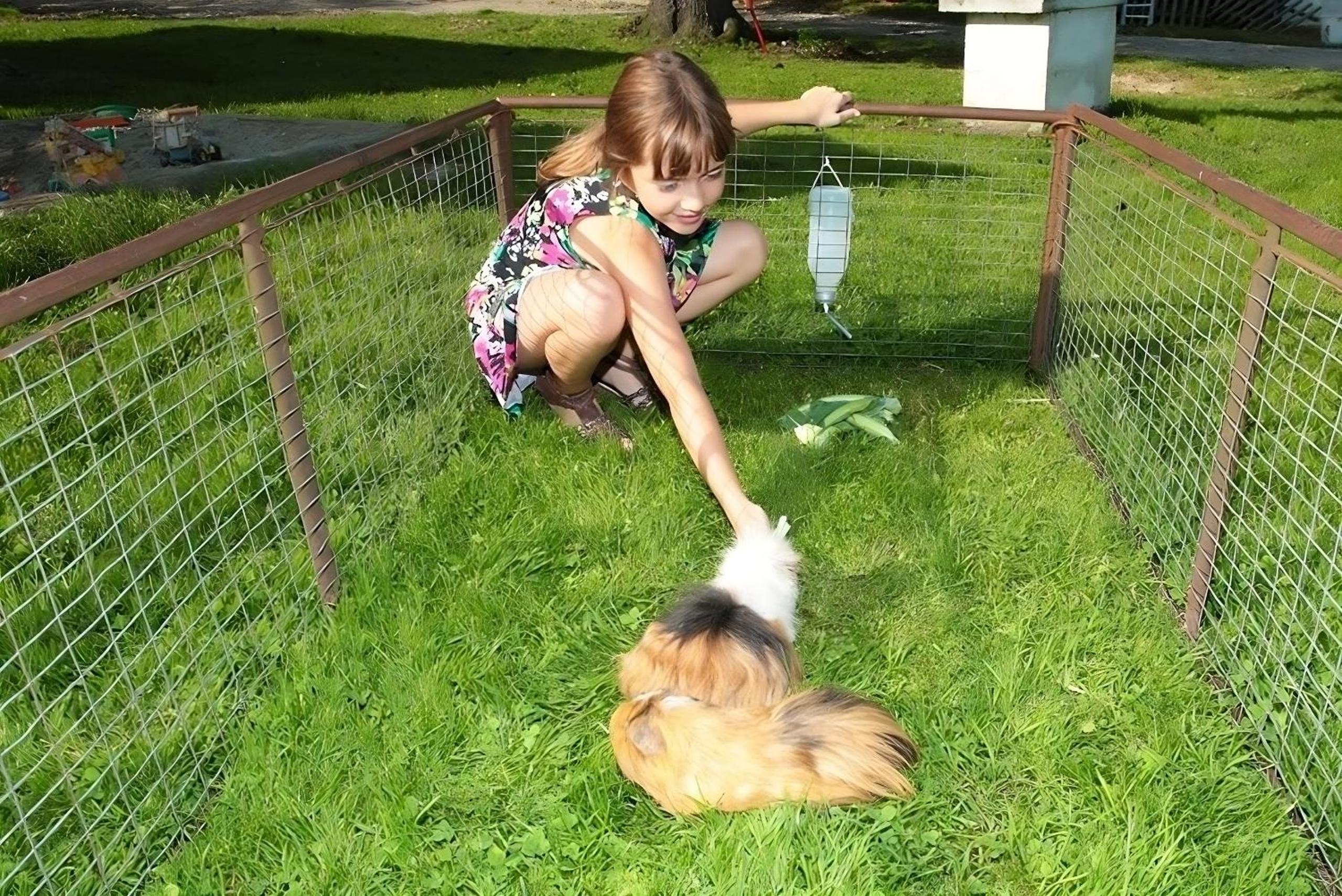 Photo 36