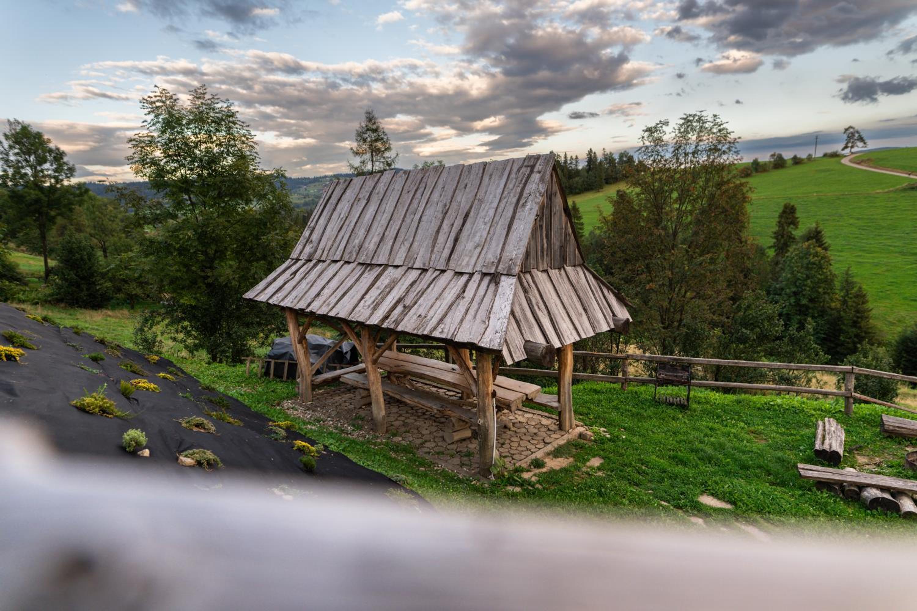 Ku Sośnie view 3