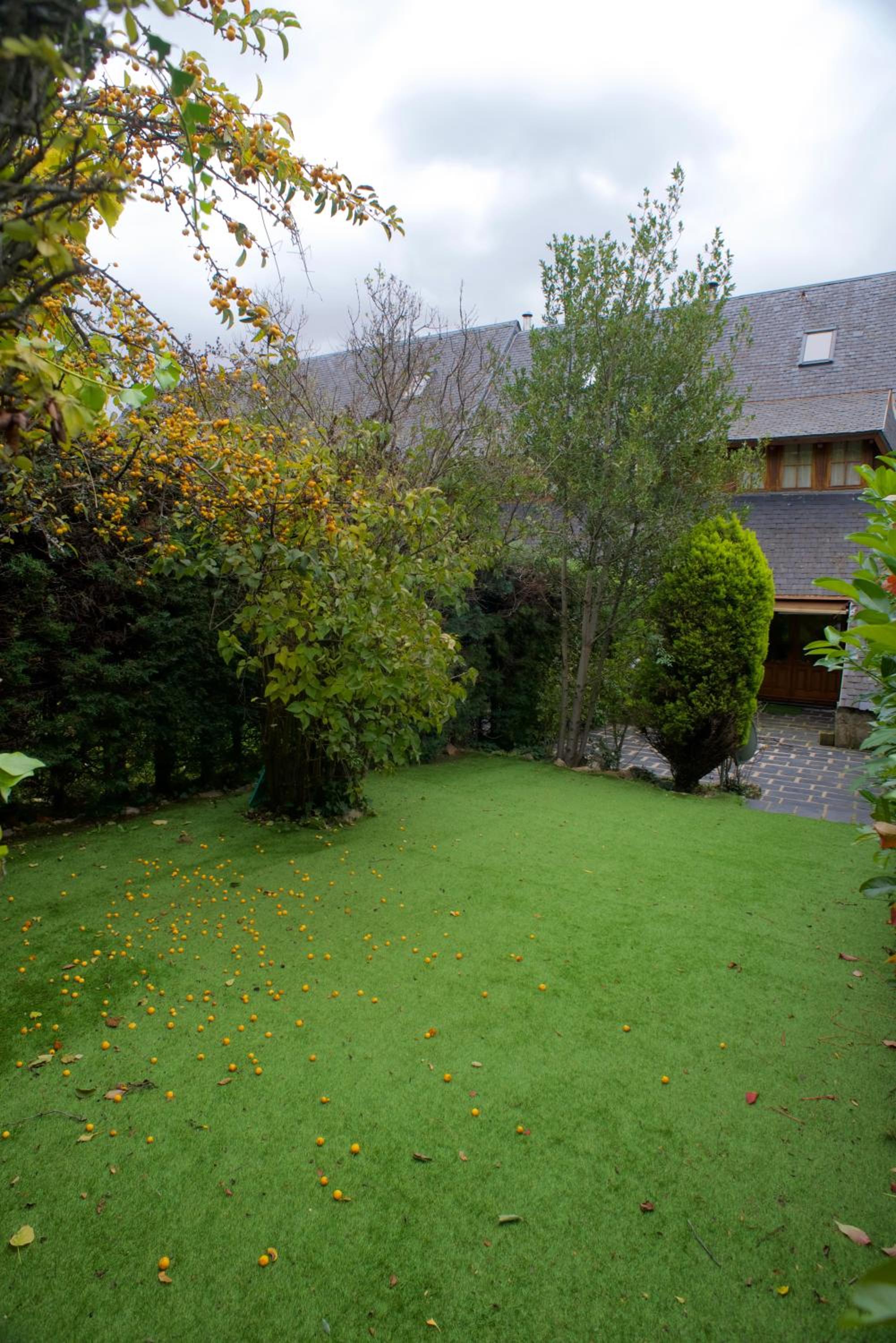 Photo 34