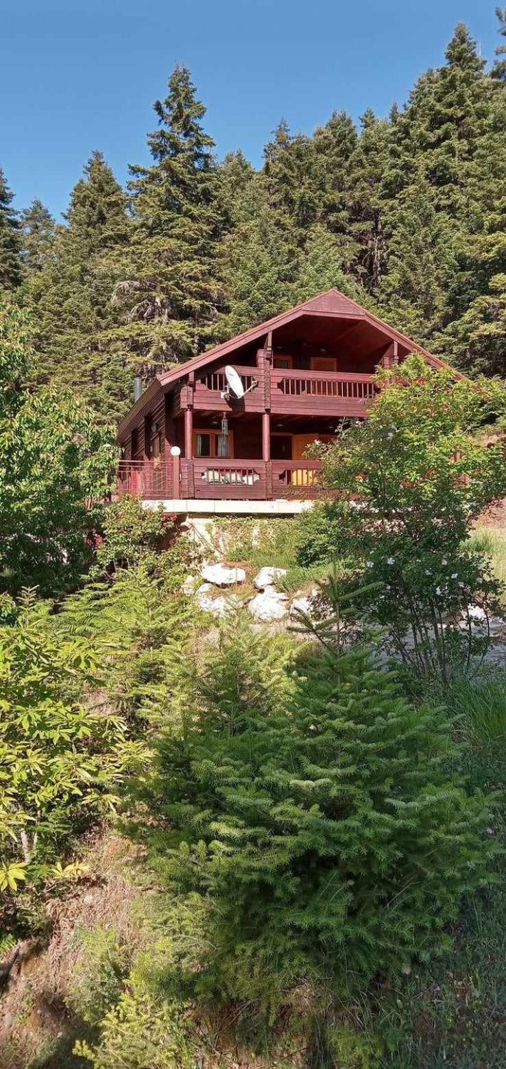 Rados chalet