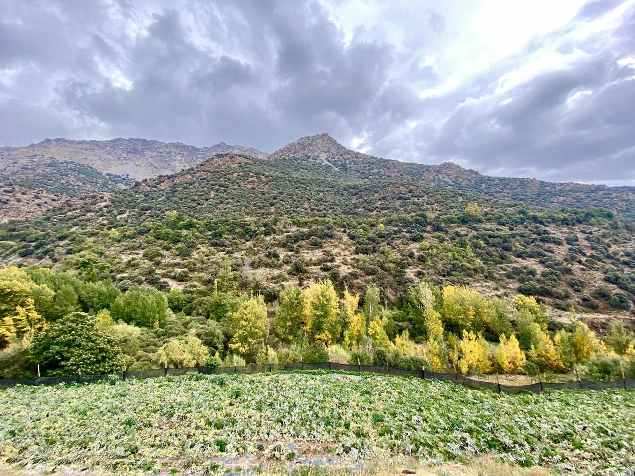 CASA RURAL CORTIJO MOLINO ALTERO