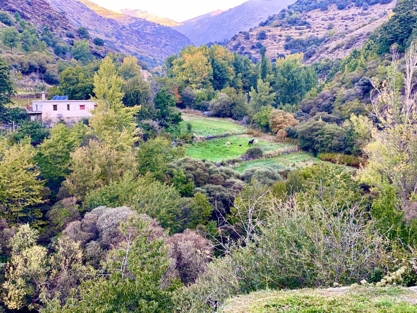 CASA RURAL CORTIJO MOLINO ALTERO
