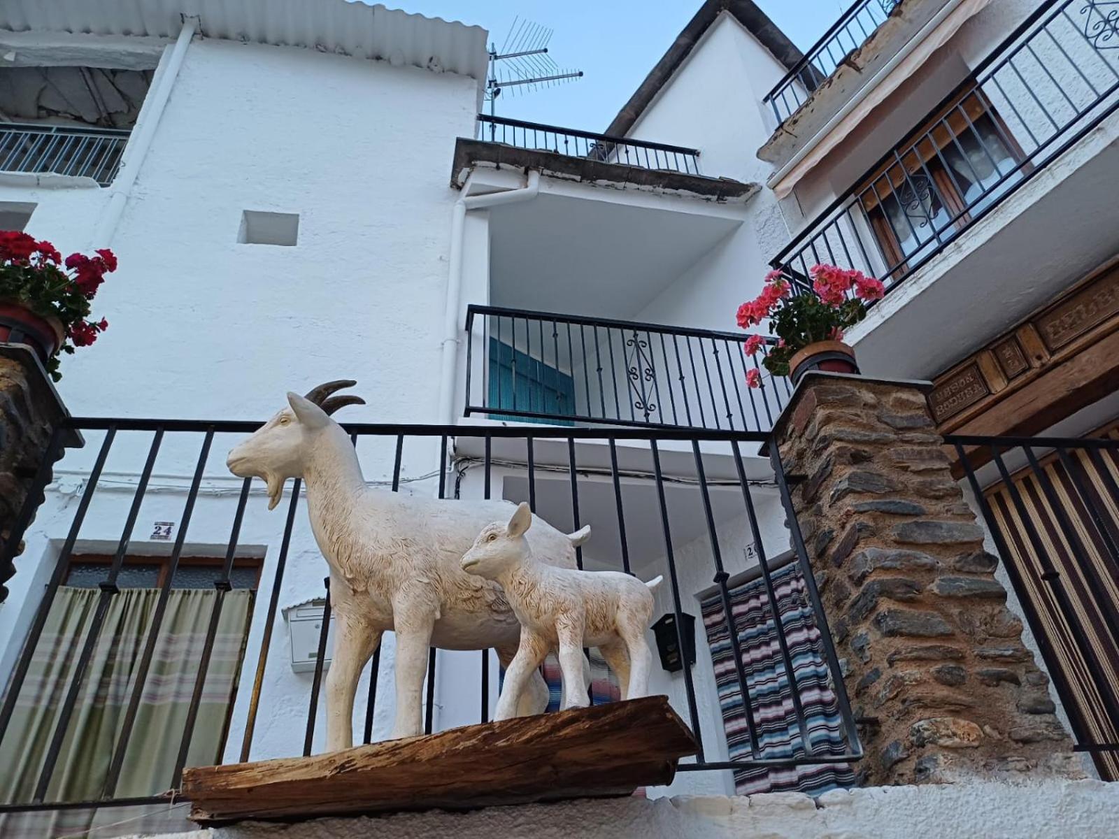 CASA RURAL CORTIJO MOLINO ALTERO