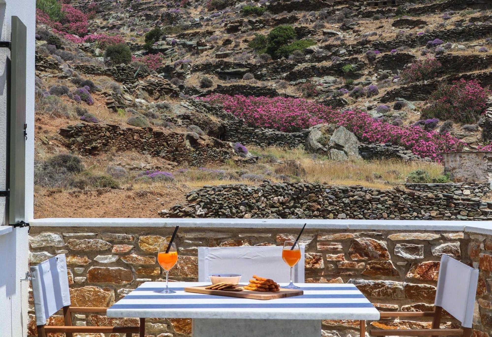 Tinos Treasures Apart-Hotel view 4