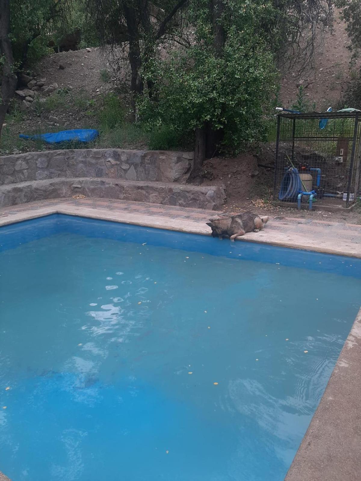 Cabañas Naturaleza Boyenar