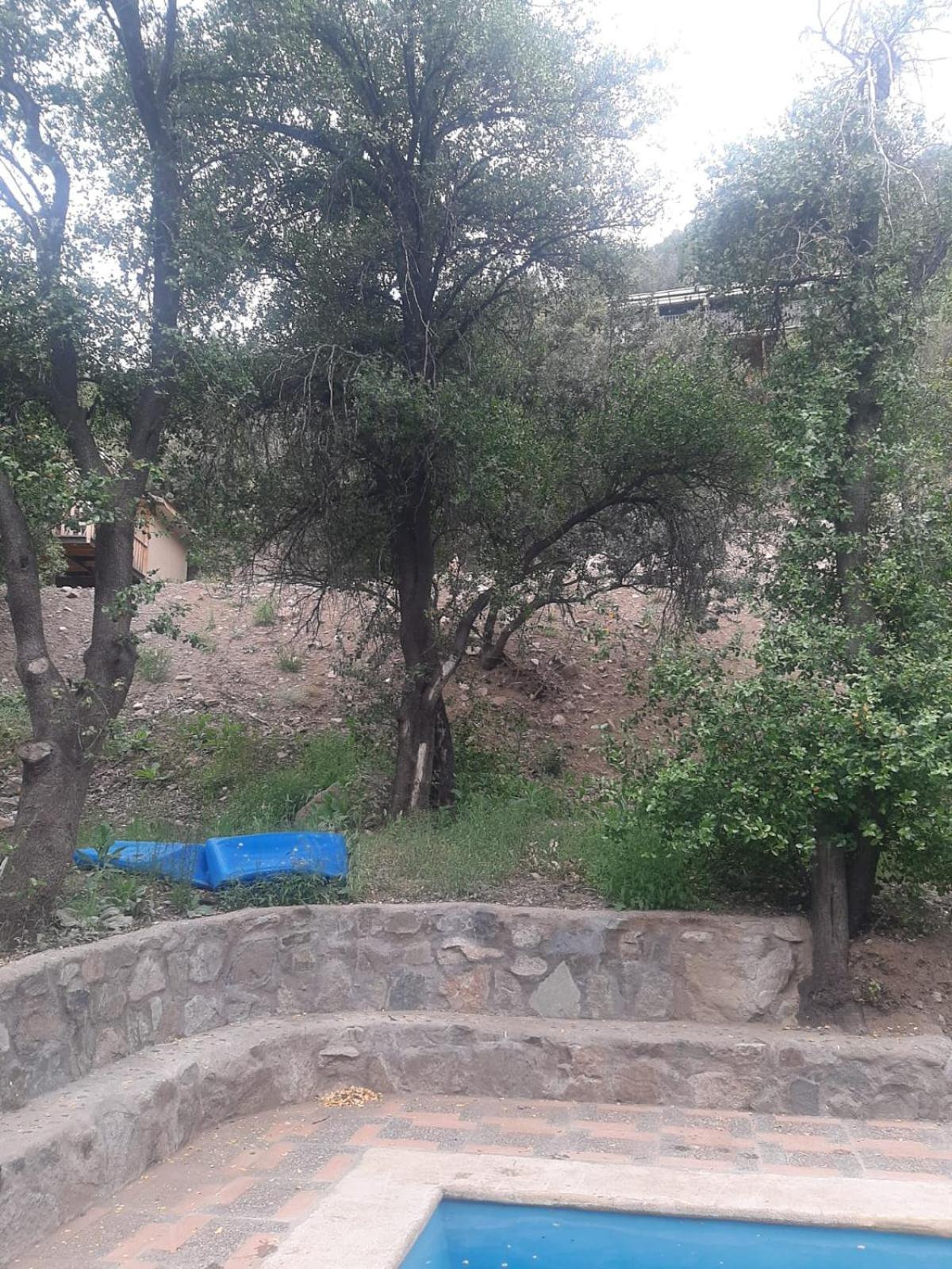 Cabañas Naturaleza Boyenar