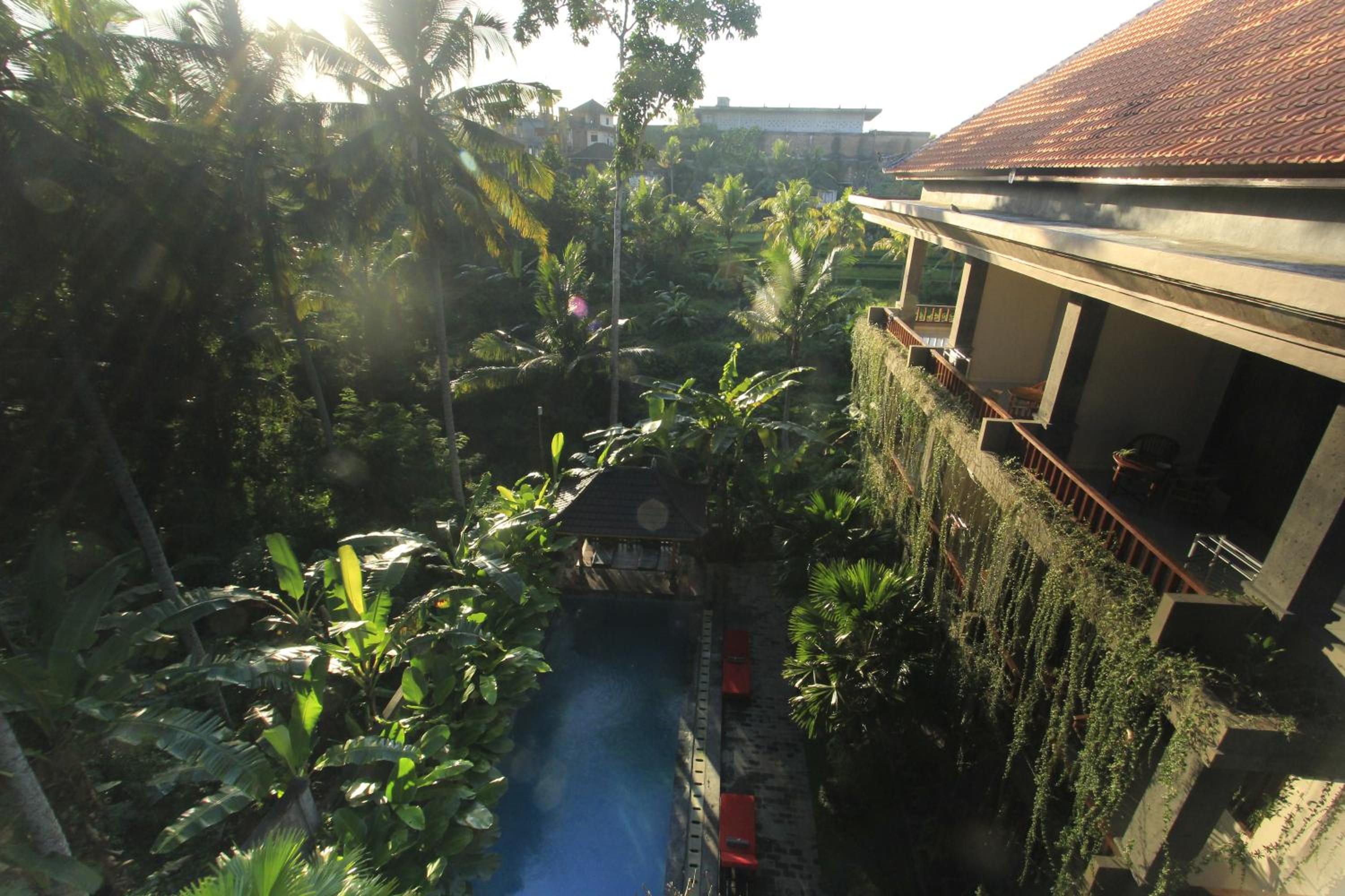 Alam Terrace Cottages