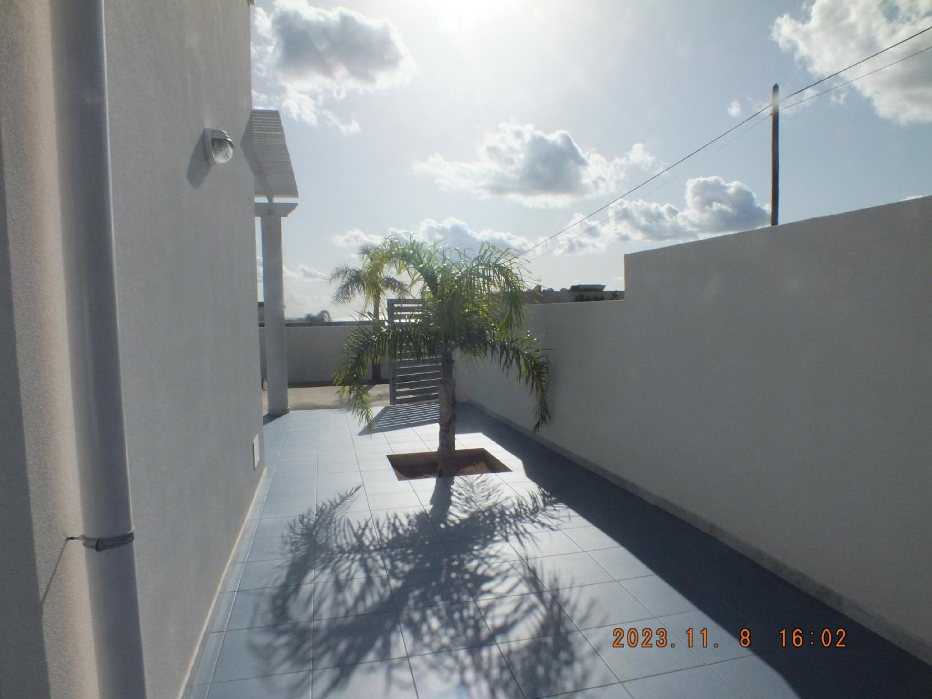 Photo 51