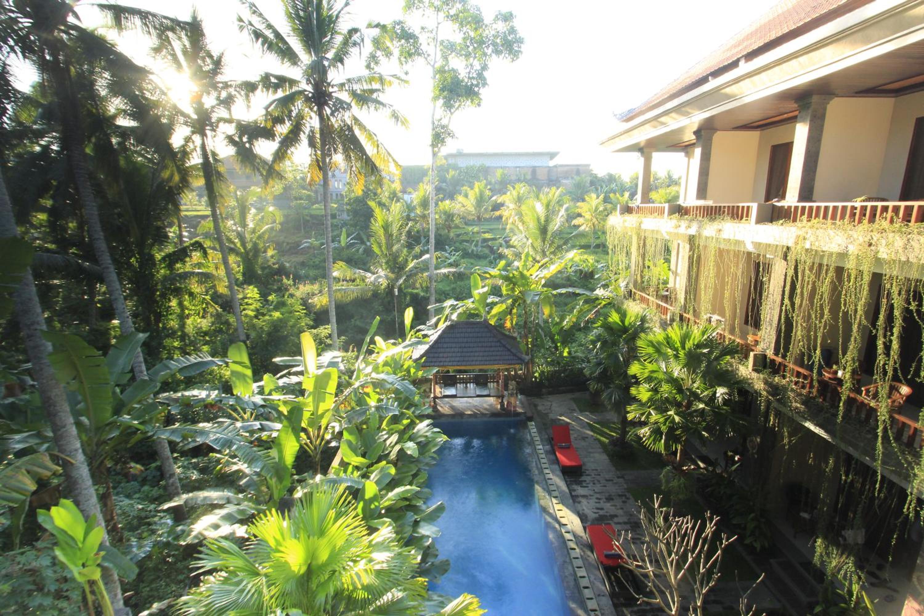 Alam Terrace Cottages