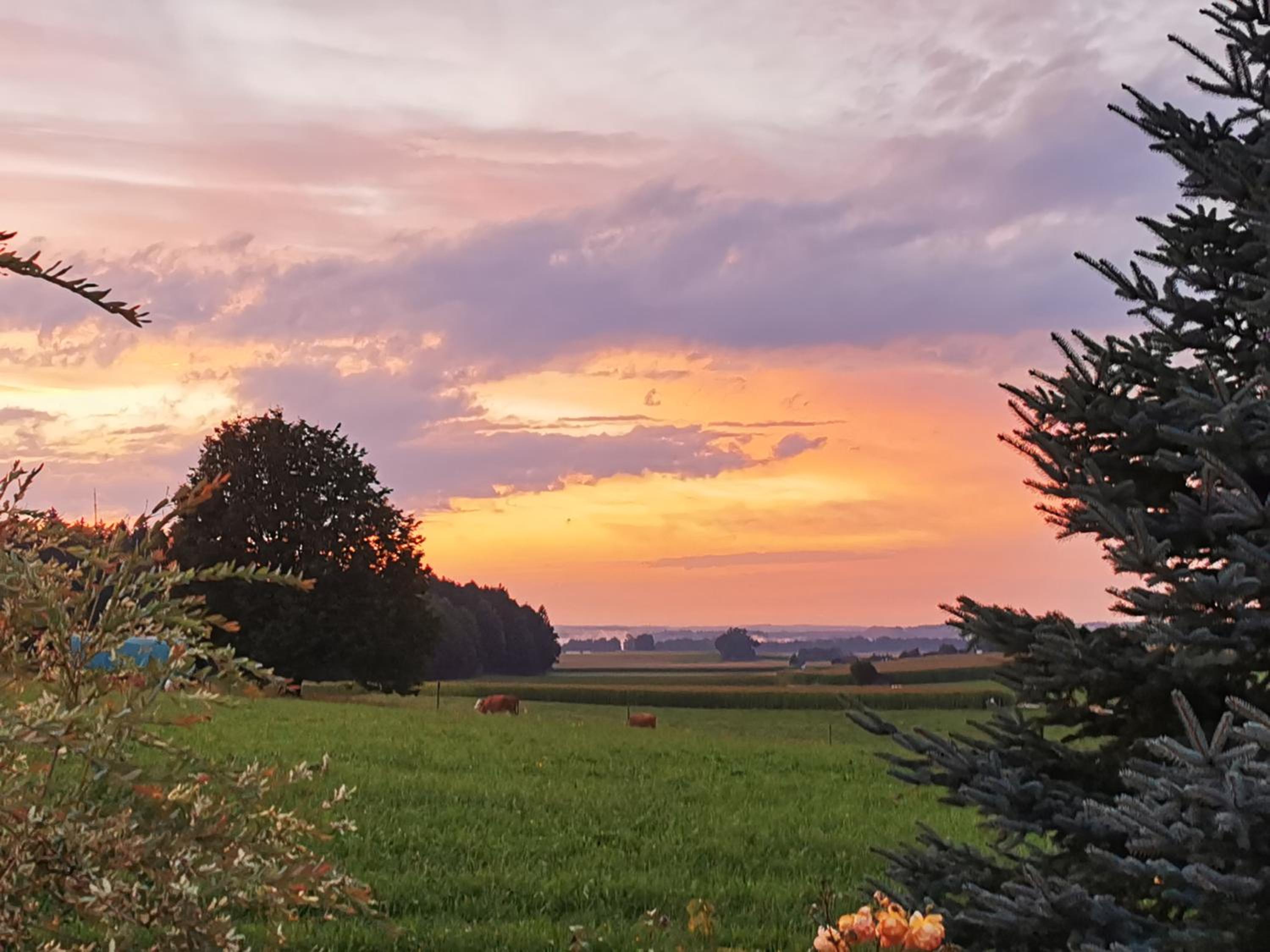 Ferien bei Fuchs view 5
