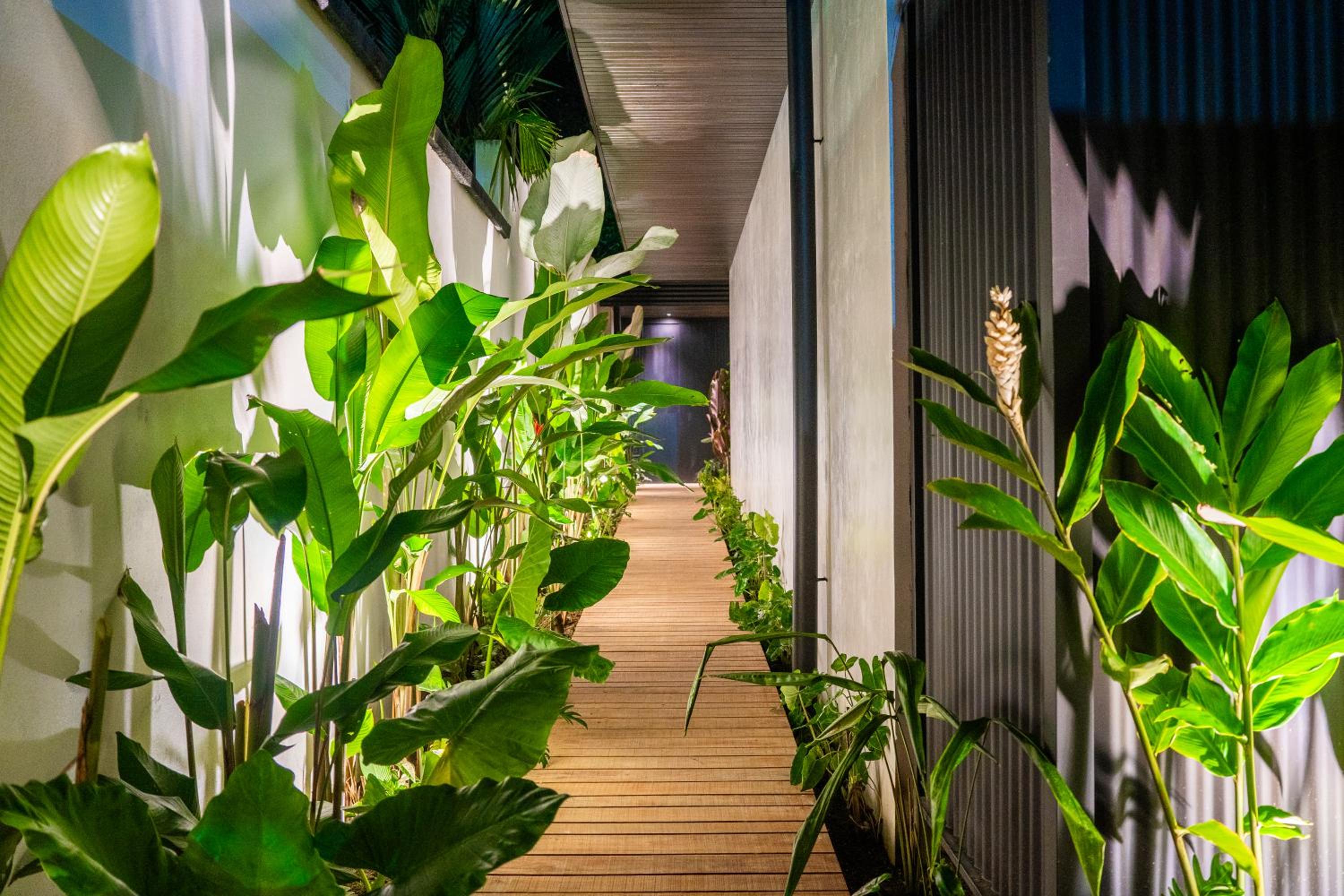 Danta Santa Lofts
