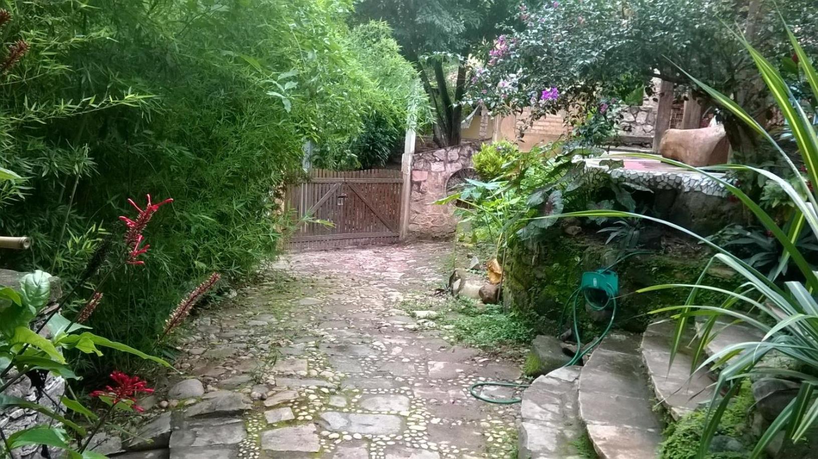 garden