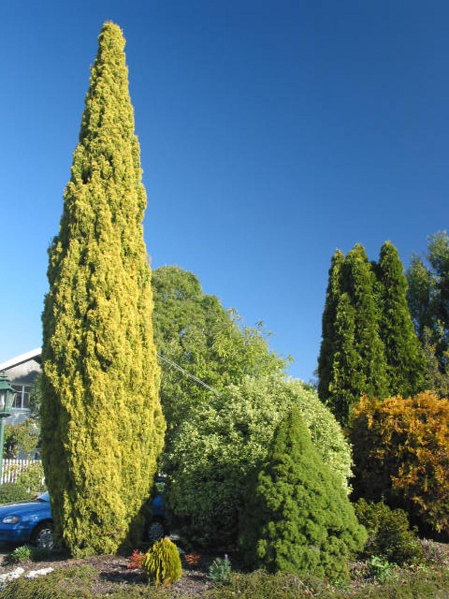 Photo 18