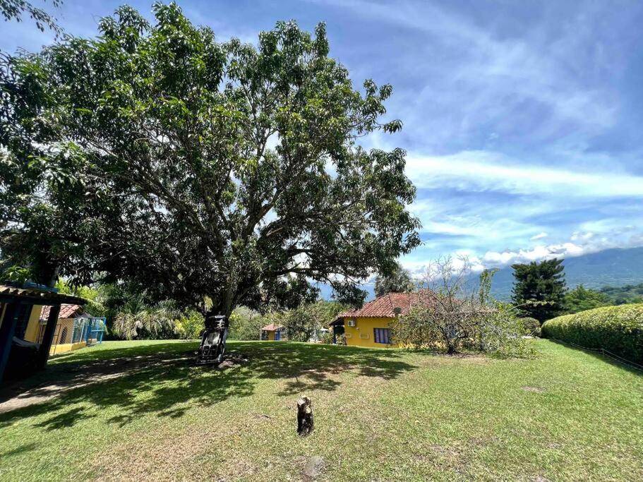 Casa de campo en La Pintada