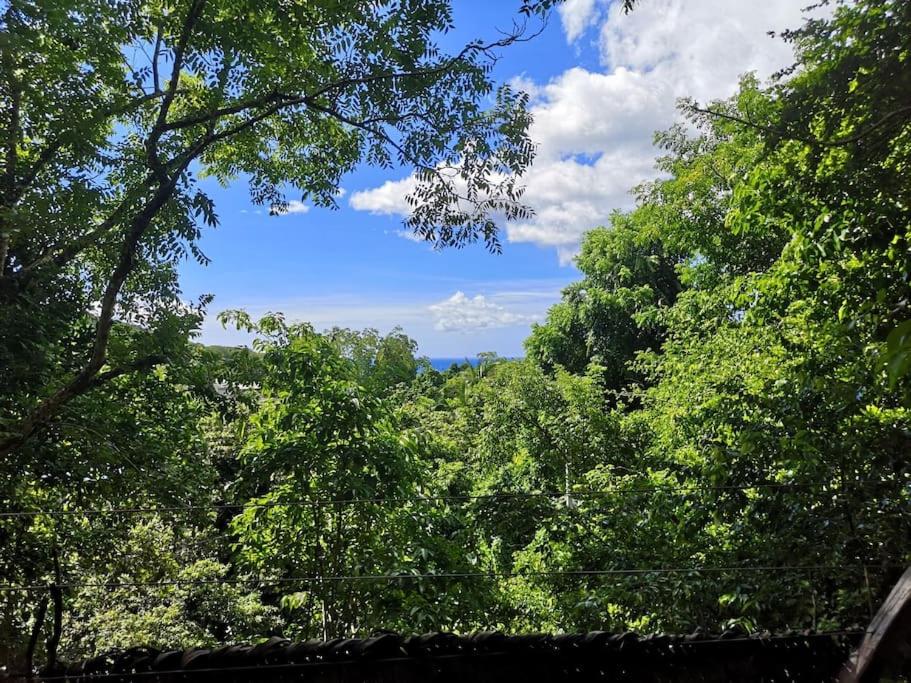 cabane entre les arbres view 2