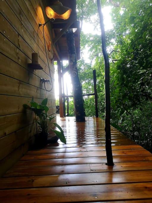 cabane entre les arbres view 3