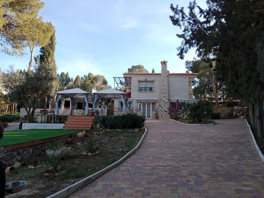 Photo 13