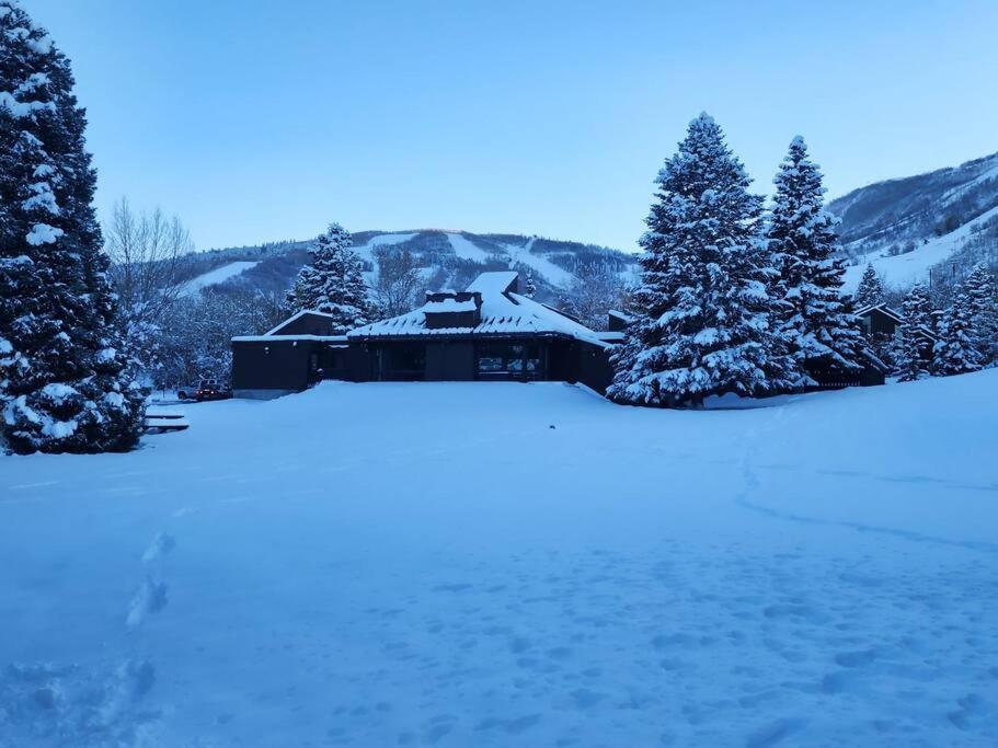 Hotel Beautiful home with 1bedroom and huge open loft. - Image 1