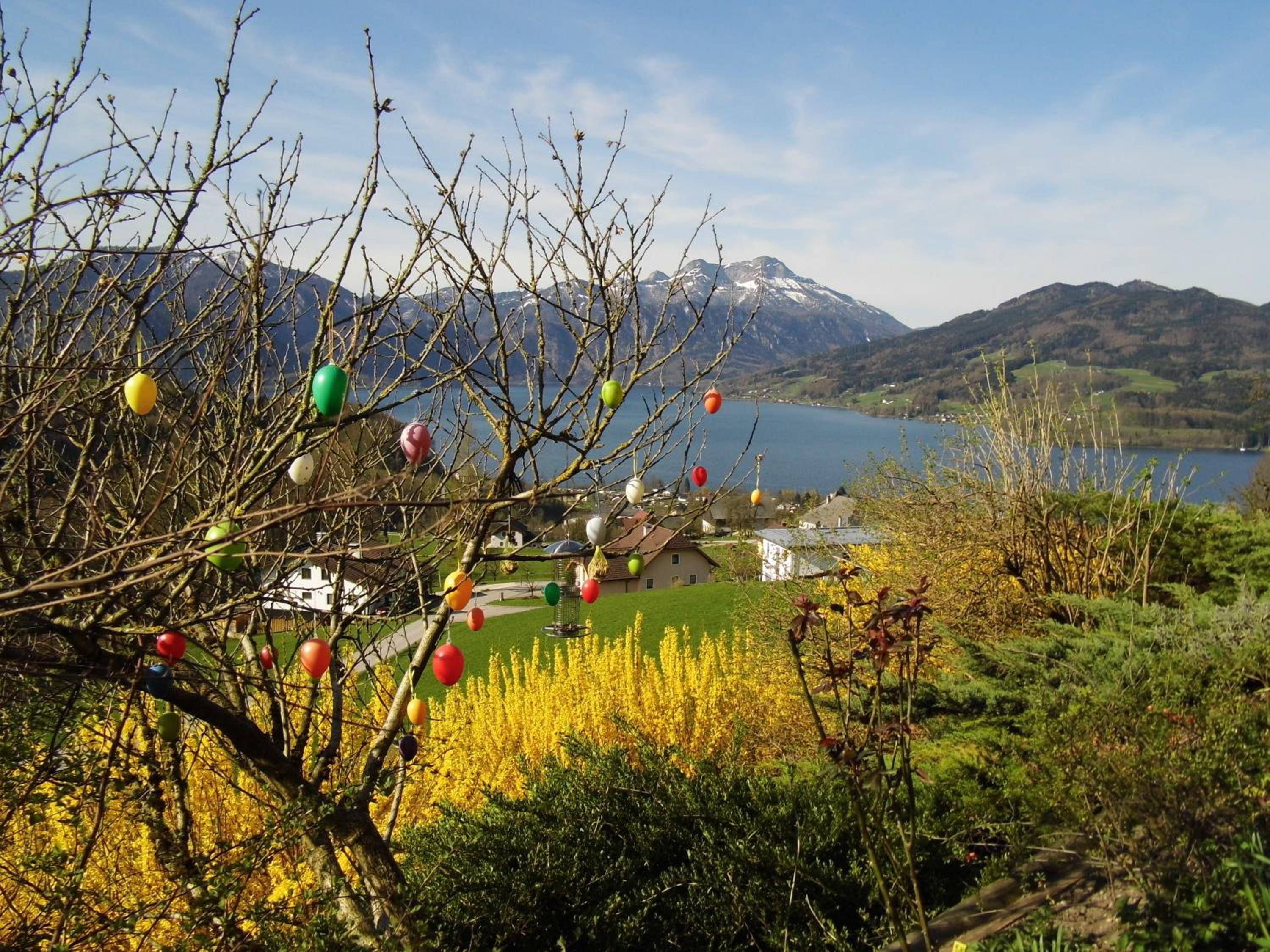 Biohof Schwanser