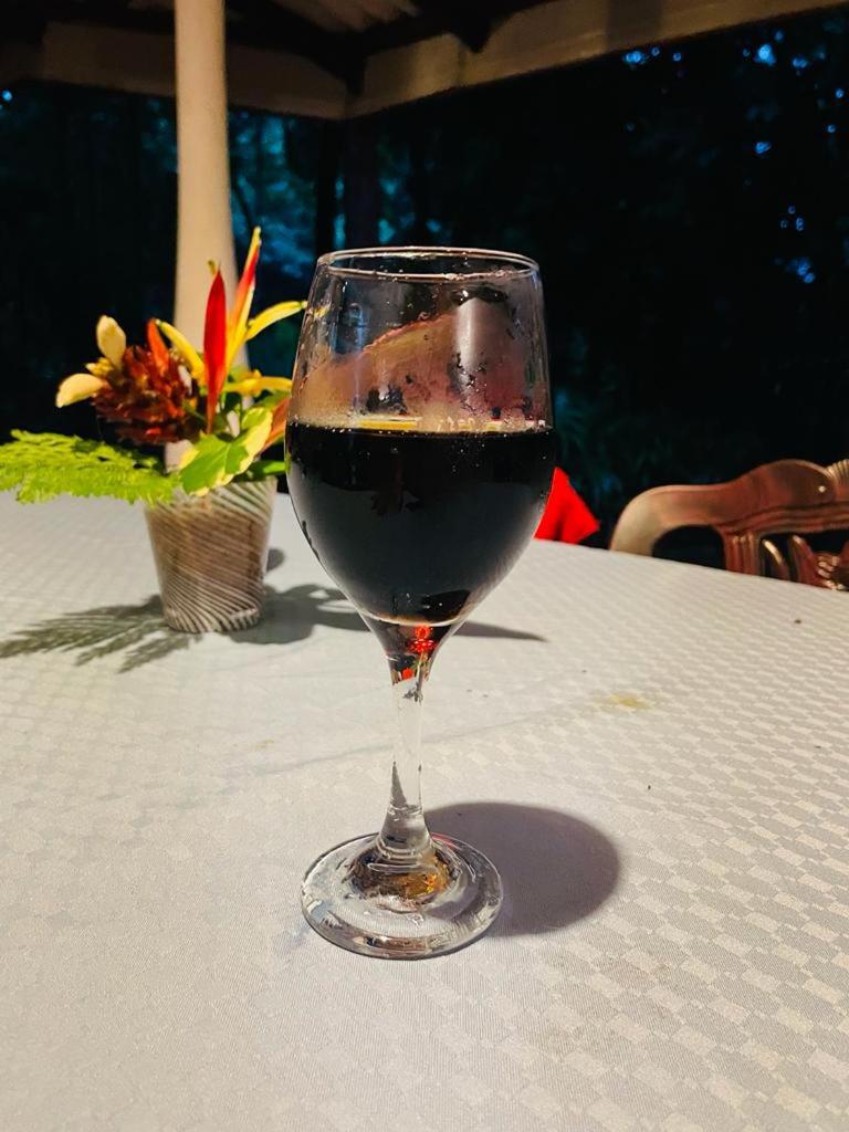 Gallene Gala Nature Resort view 2