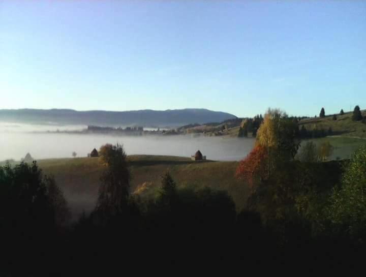 Photo 107