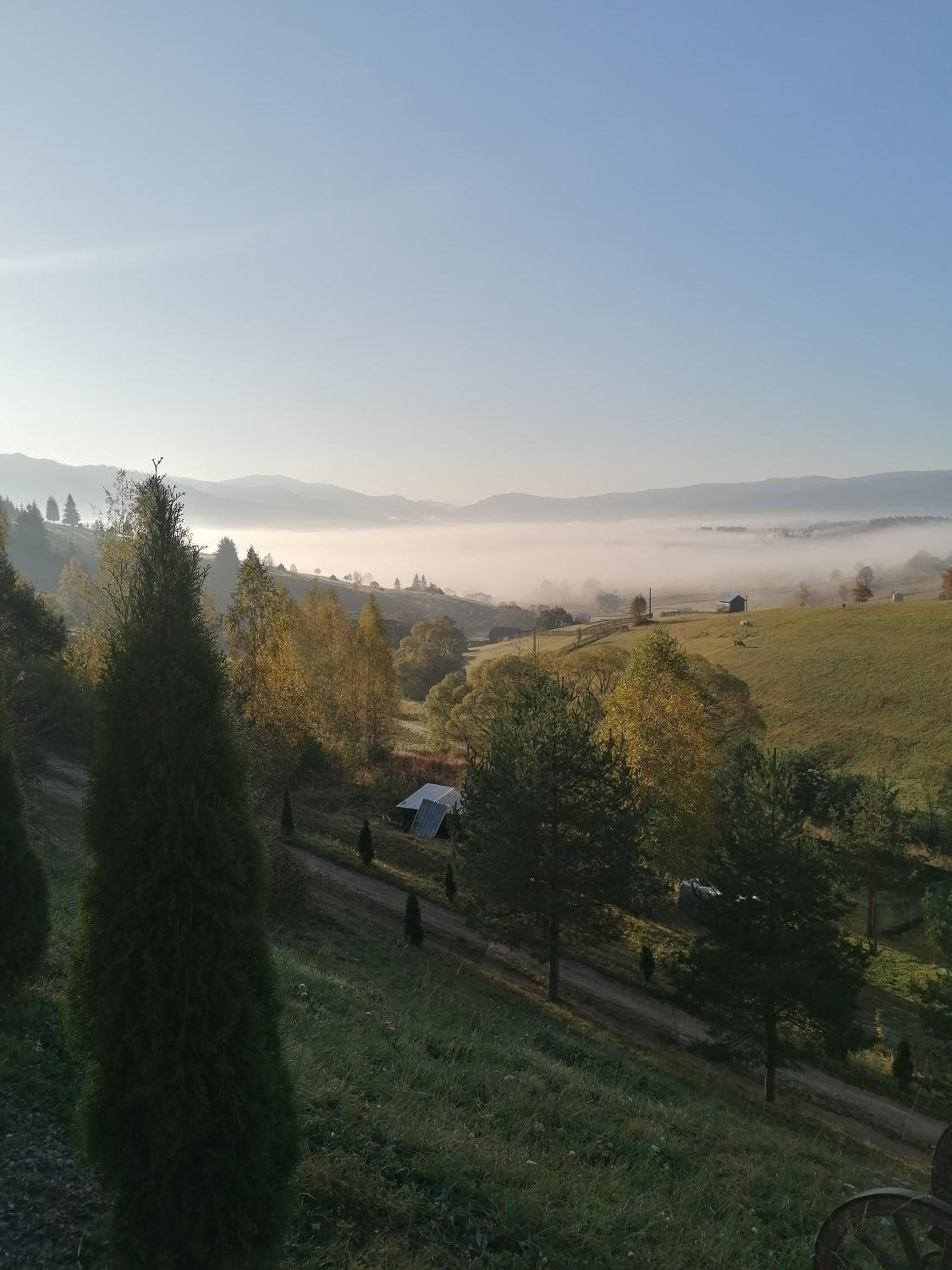 Cabana Gabriel Bucovina view 4
