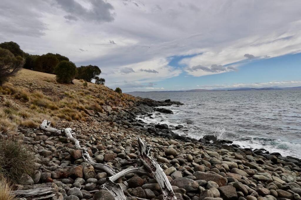 Eco Waterfront Seclusion - Carlton Bluff House