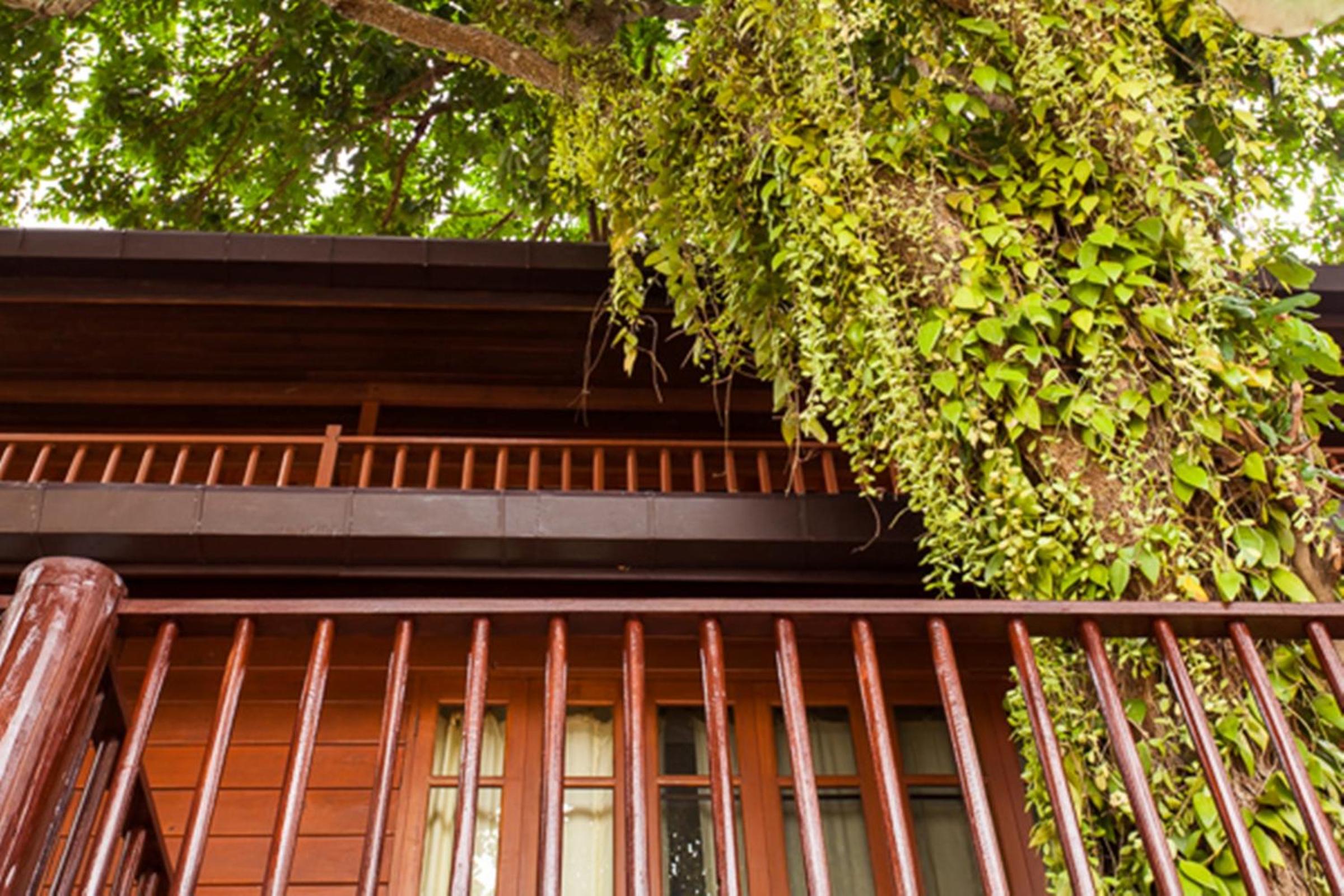 Riverhouse-The Teak House