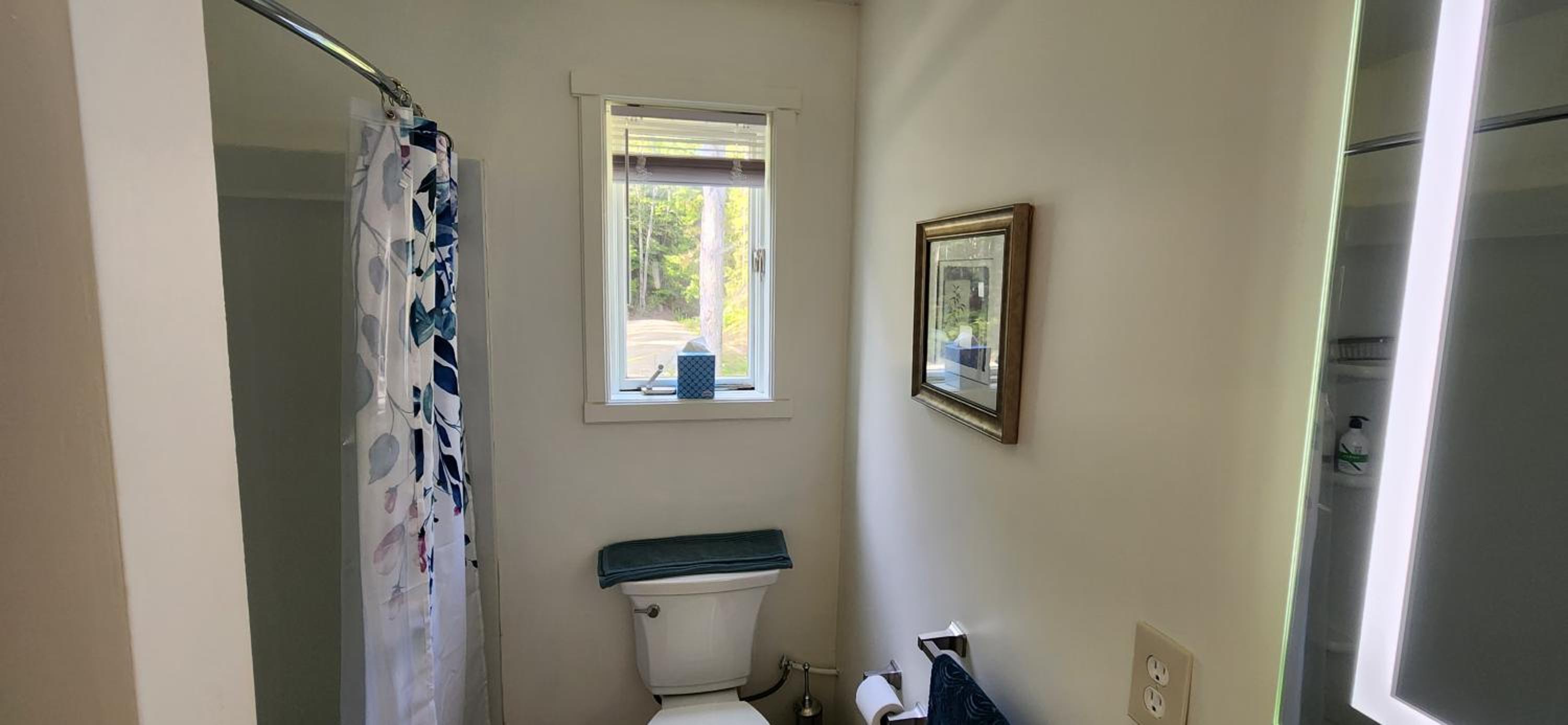 Magical Retreat Cottage, 15 min from Mt Snow skiing view 5