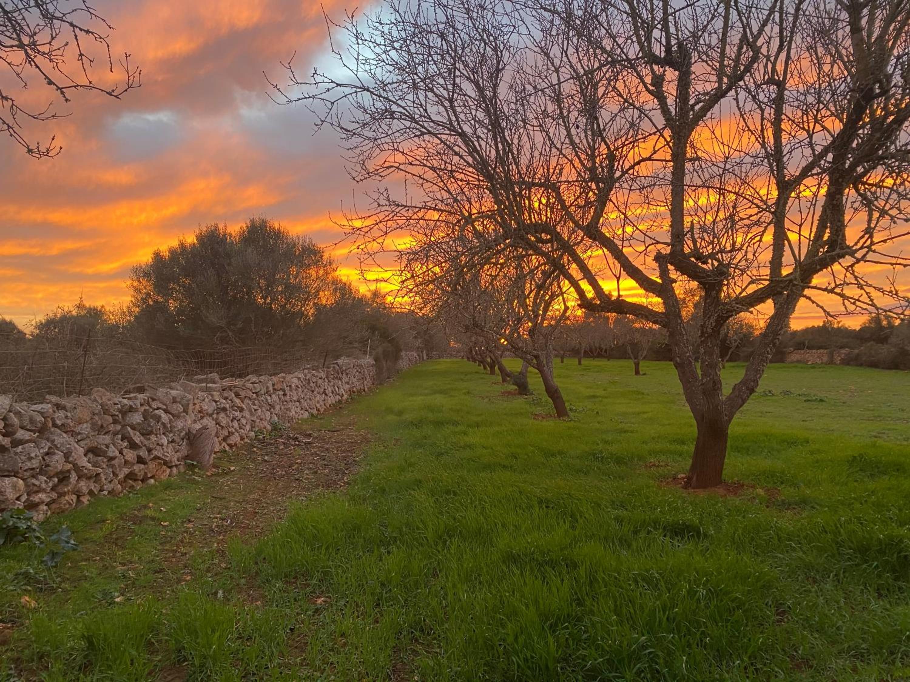 Finca Na Moreta