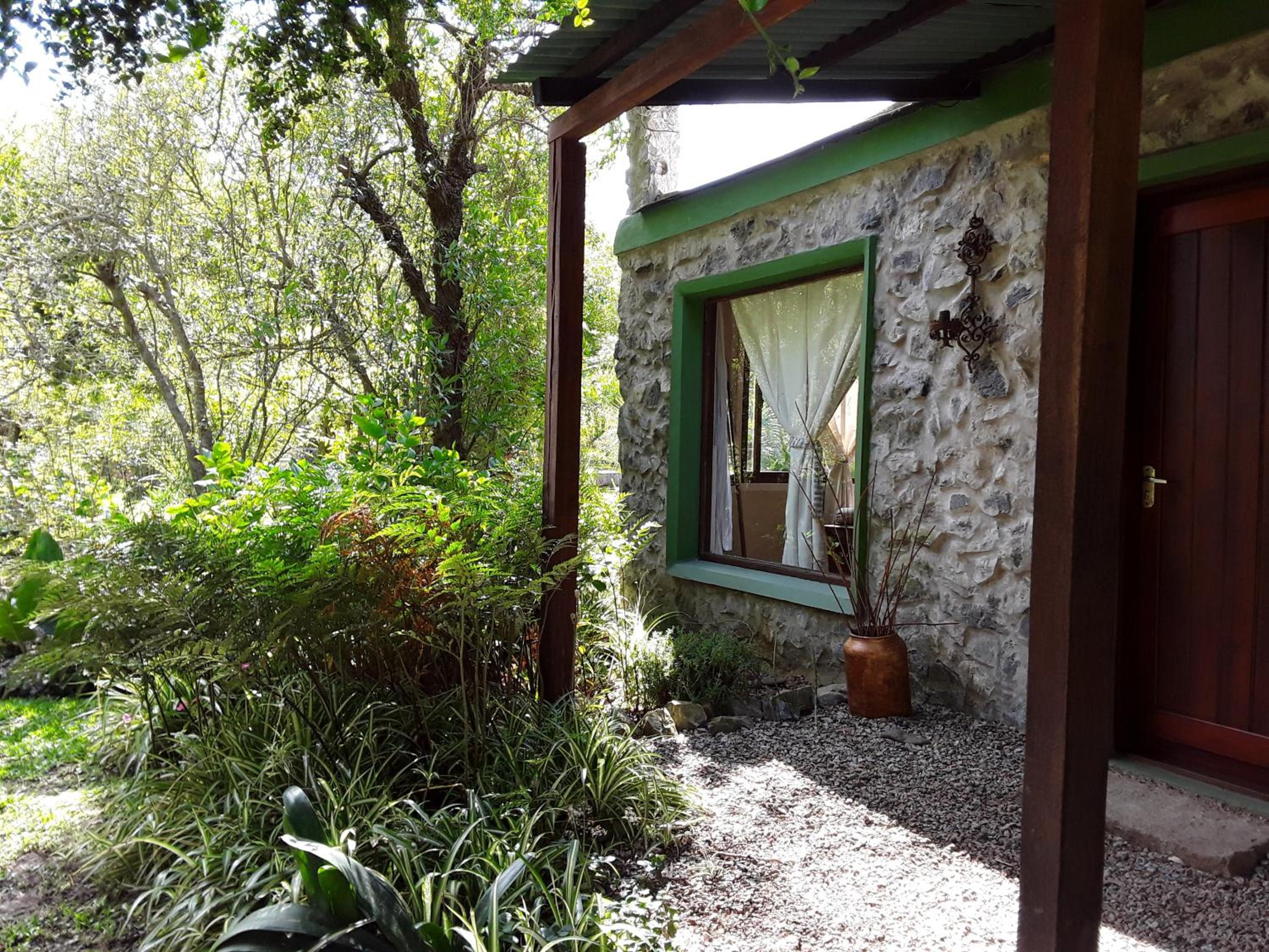 El Viento en los Sauces view 3