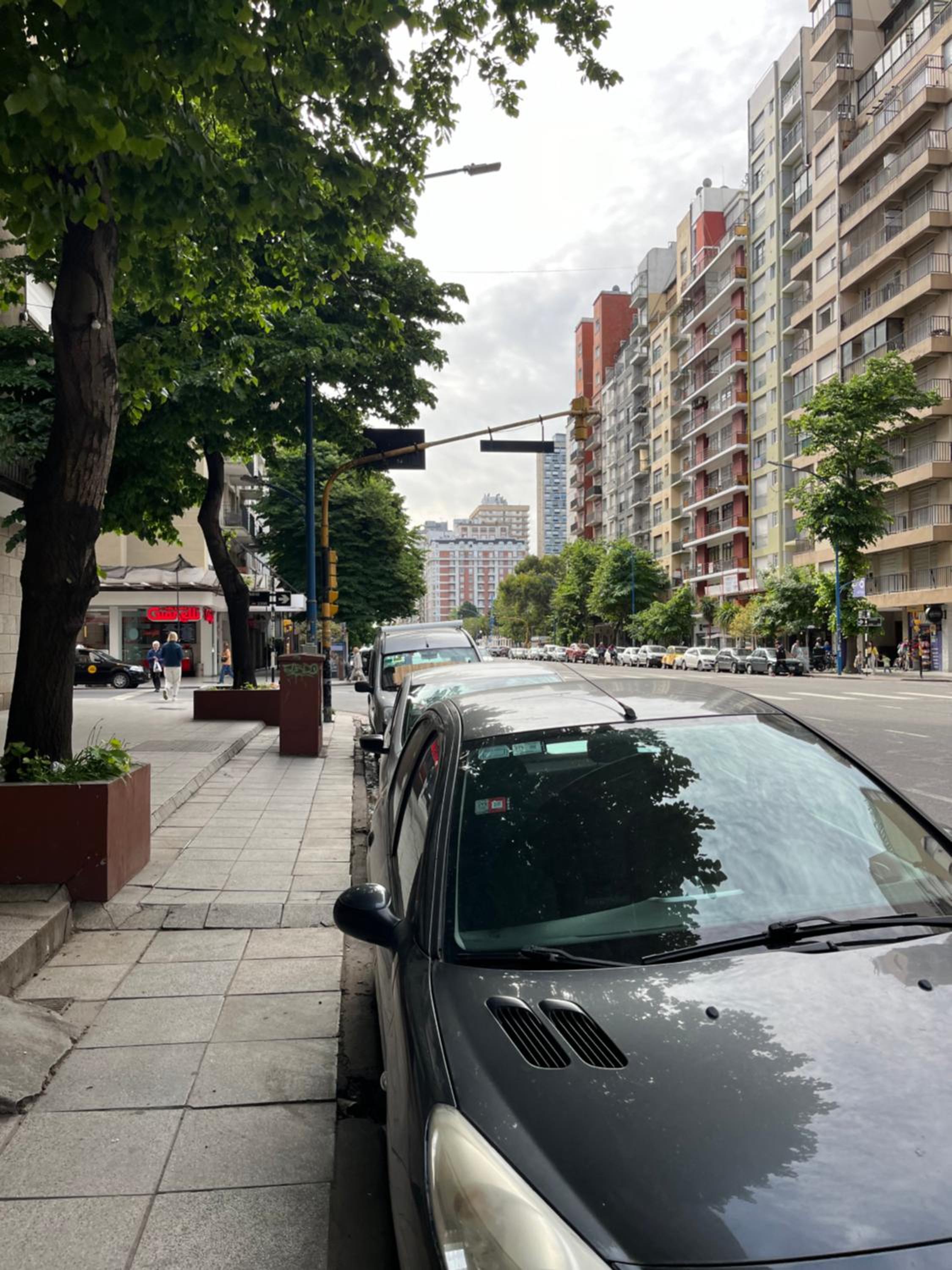 Palacio Colón