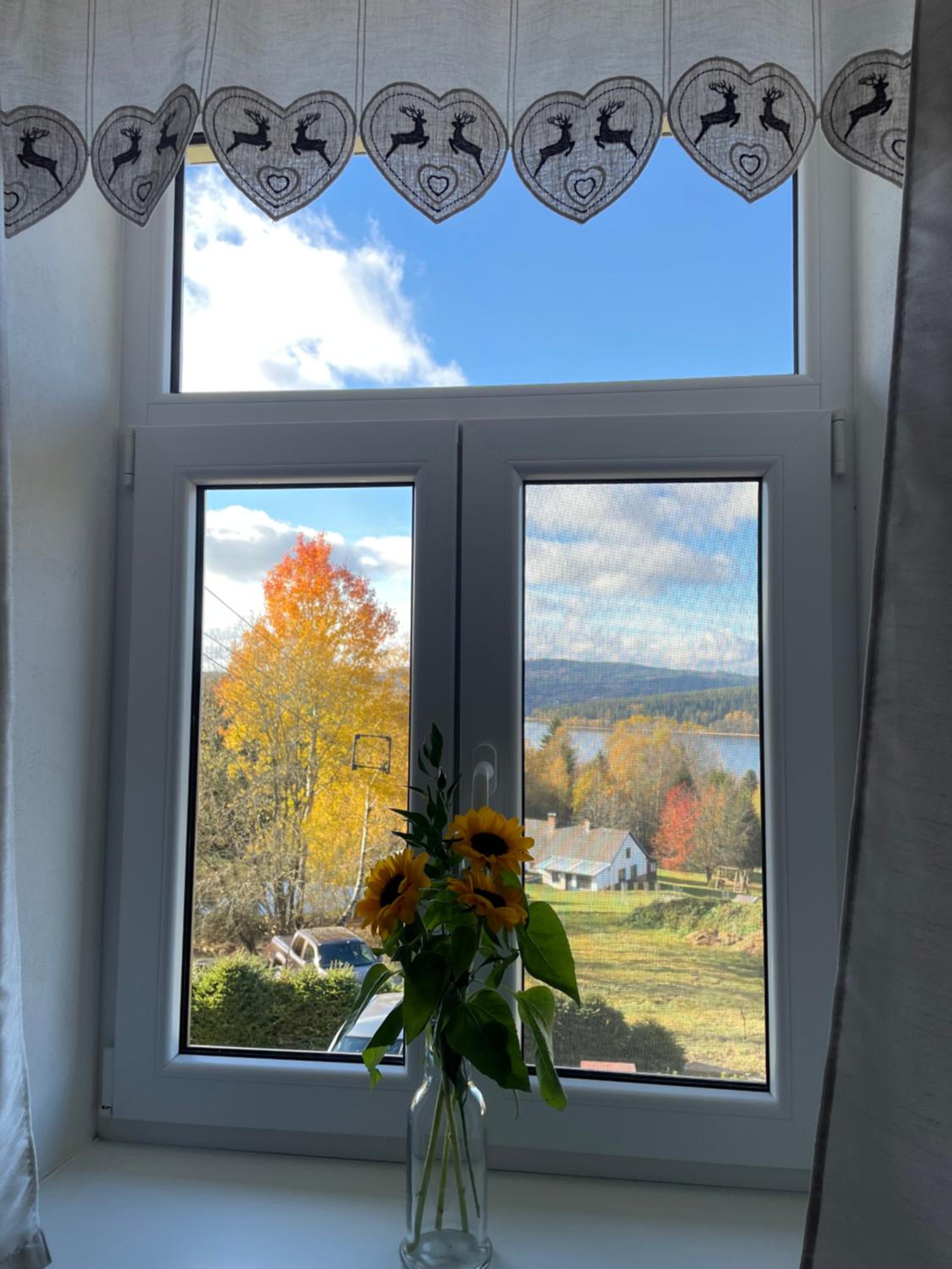 Apartmány HÁJOVNA Lipno