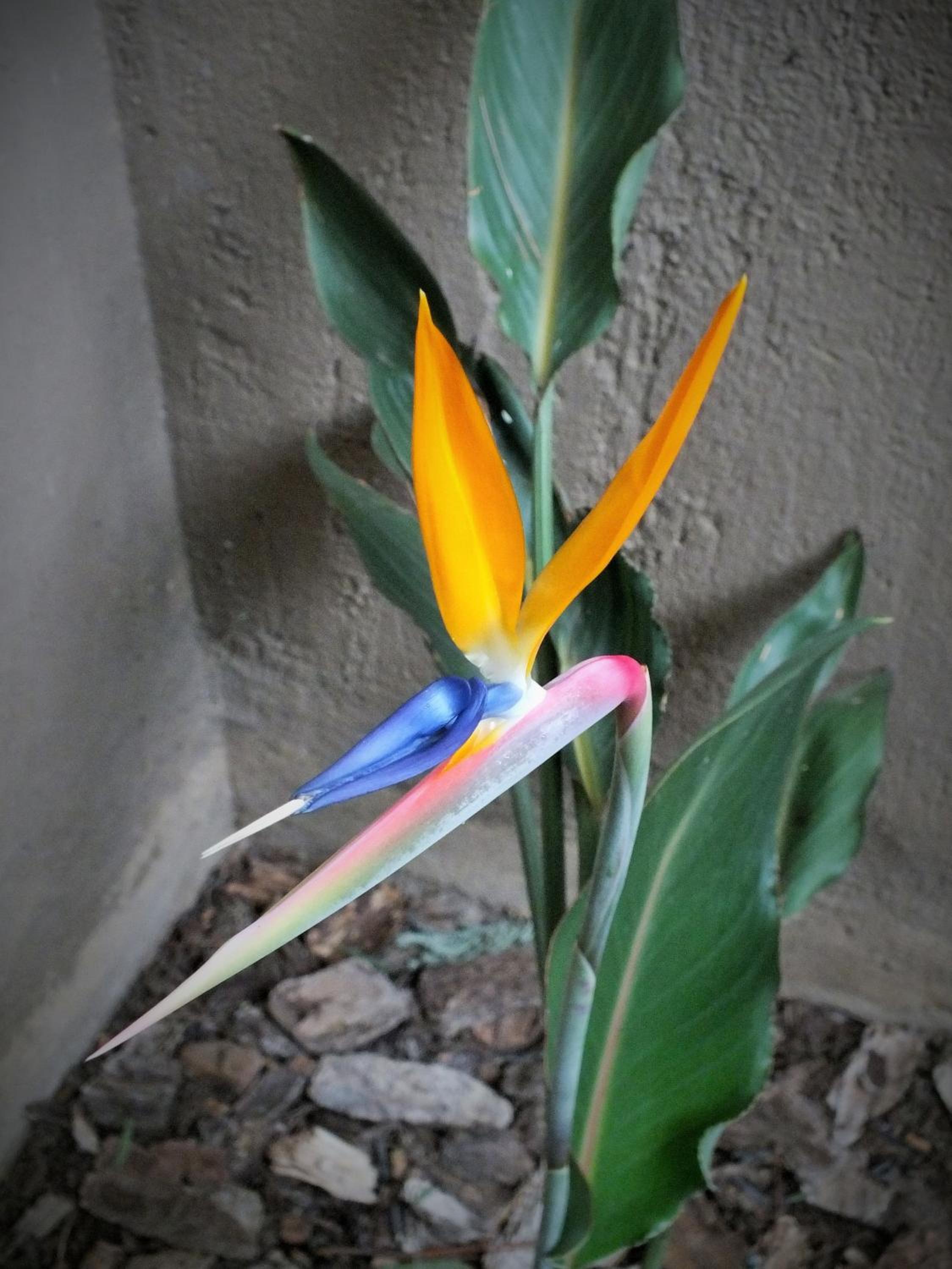 Uzuri Guesthouse CC, photo 9