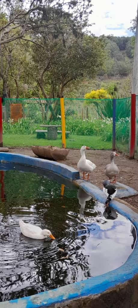 children's play area